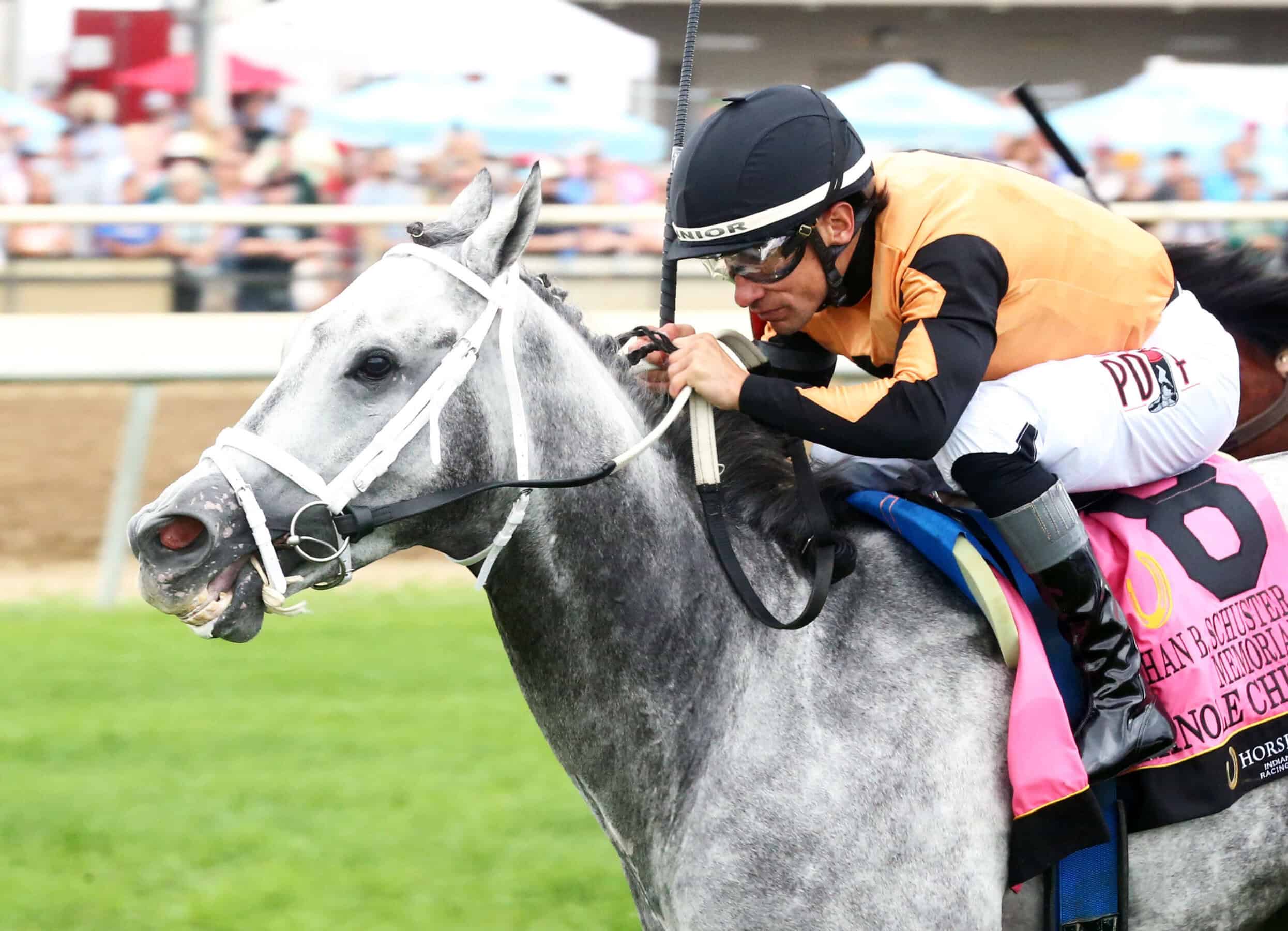 Seminole Chief and jockey Junior Alvardo cross the finish line in the Jonathan B. Shuster Memorial at Horsehoe Indianopolis - Coady Media
