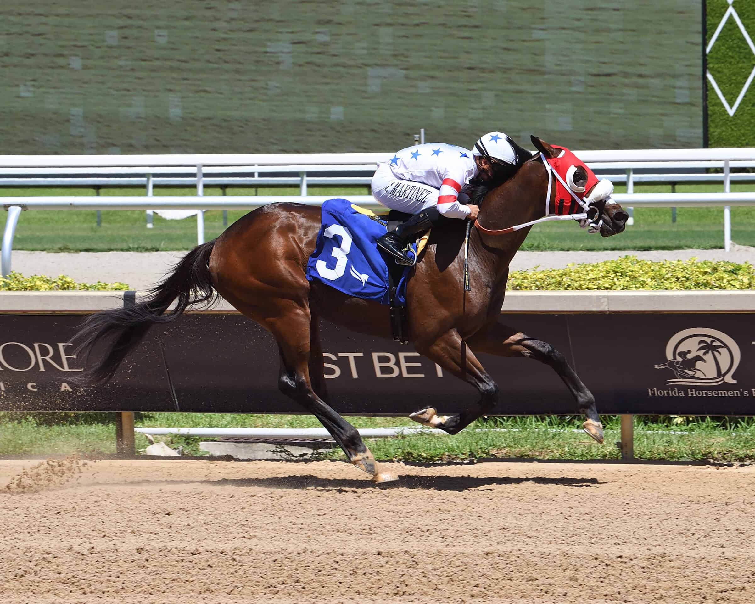 Florida-bred Thoroughbred Sum of Success and jockey Jonathan Ocasio dominate the track at Gulfstream Park, crossing the wire unchallenged to win the 2026 In Summation Stakes. (Photo: ©Ryan Thompson)
