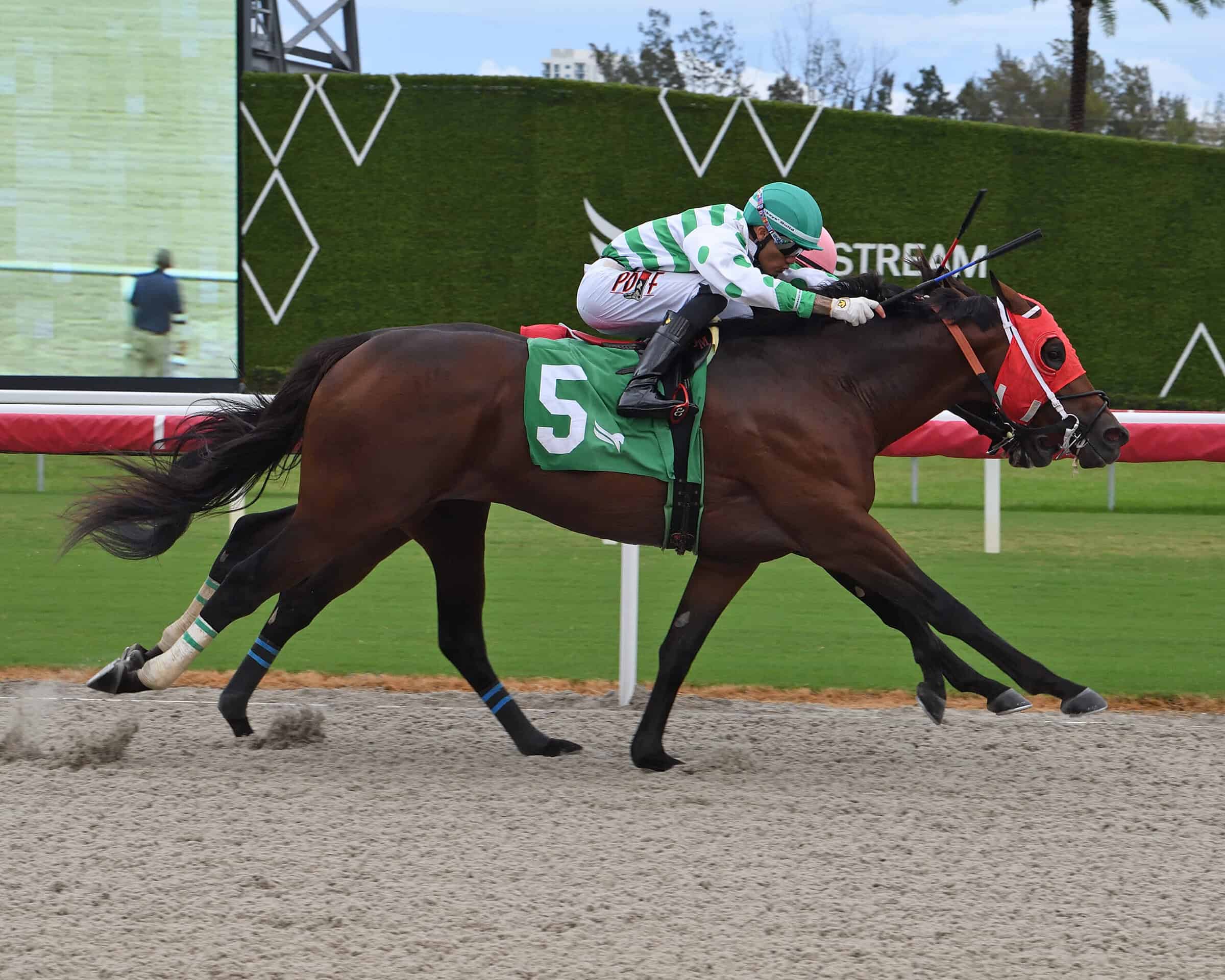Trelawny, #5, matches strides with Diciassette on the inside in a nose victory in the 2026 Bear's Den Stakes at Gulfstream Park.