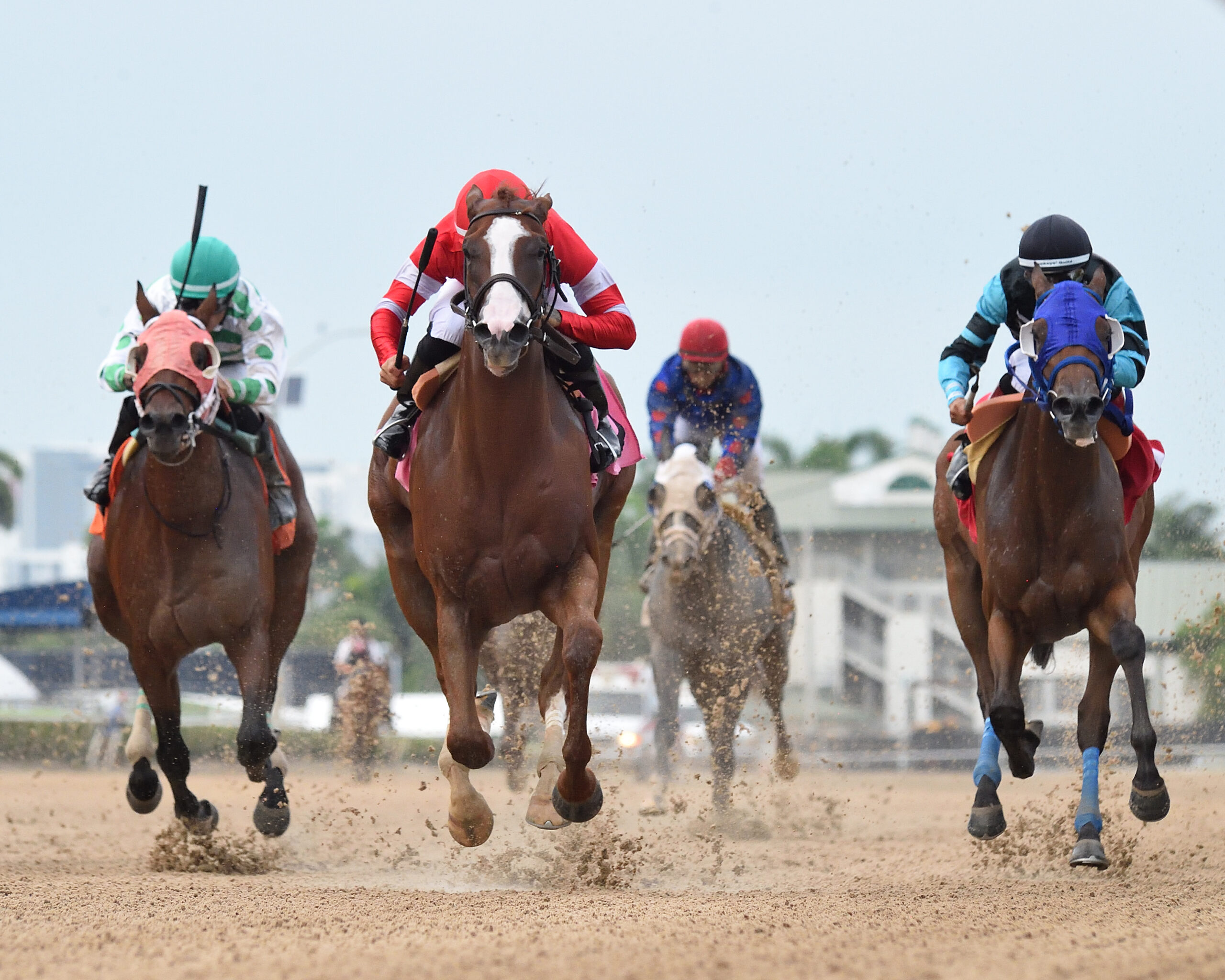 Florida-bred Thoroughbred Wayne’s Law and jockey Marcos Meneses rocket towards the camera at the head of the pack, scoring the 2025 Aventura Stakes at Gulfstream Park. (Photo: ©Ryan Thompson)