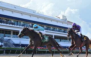 Florida-bred Willow Case and jockey Leonel Reyes outrun fellow Florida-bred Vita Mia and jockey Miguel Vasquez to take the 2025 Hallandale Beach at Gulfstream Park. (Photo: ©Ryan Thompson)