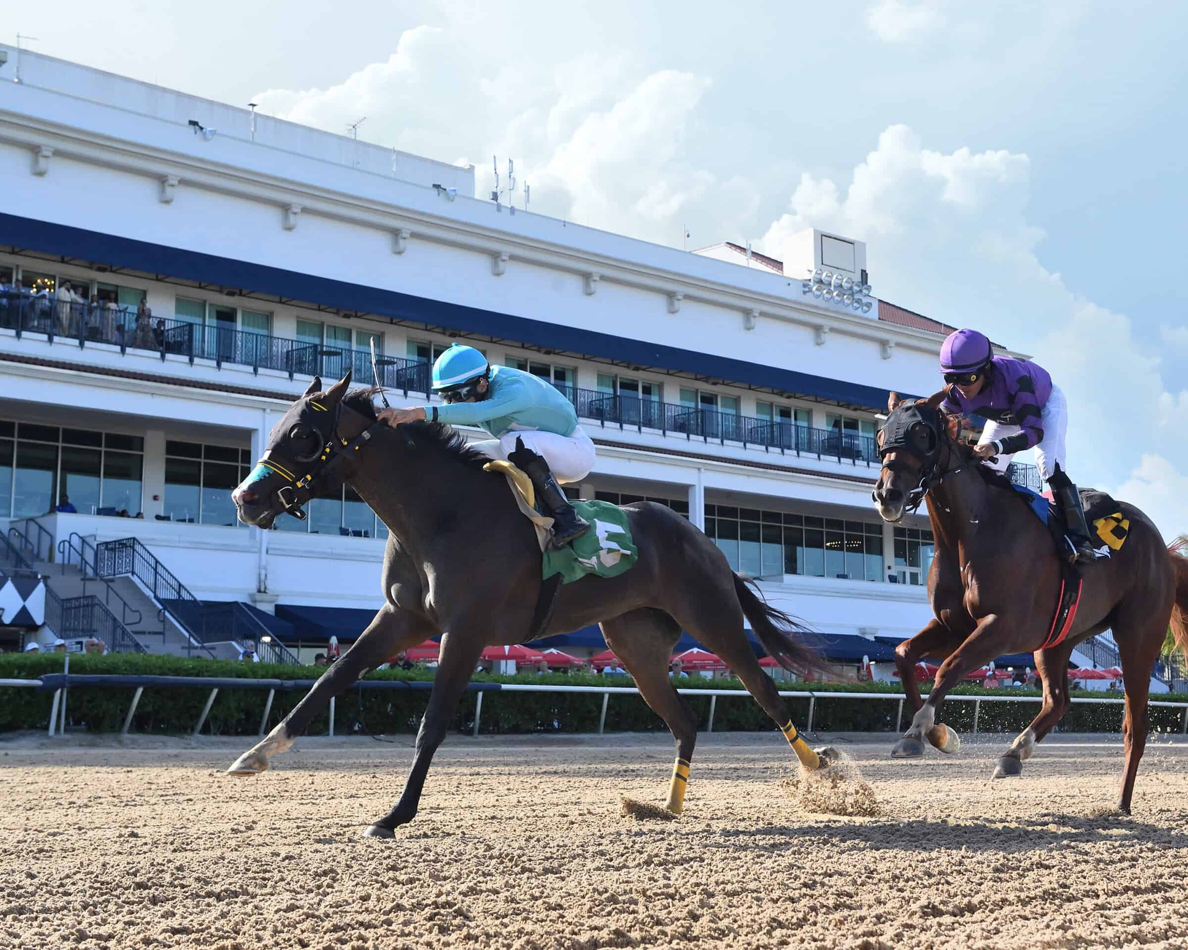 Florida-bred Willow Case and jockey Leonel Reyes outrun fellow Florida-bred Vita Mia and jockey Miguel Vasquez to take the 2025 Hallandale Beach at Gulfstream Park. (Photo: ©Ryan Thompson)