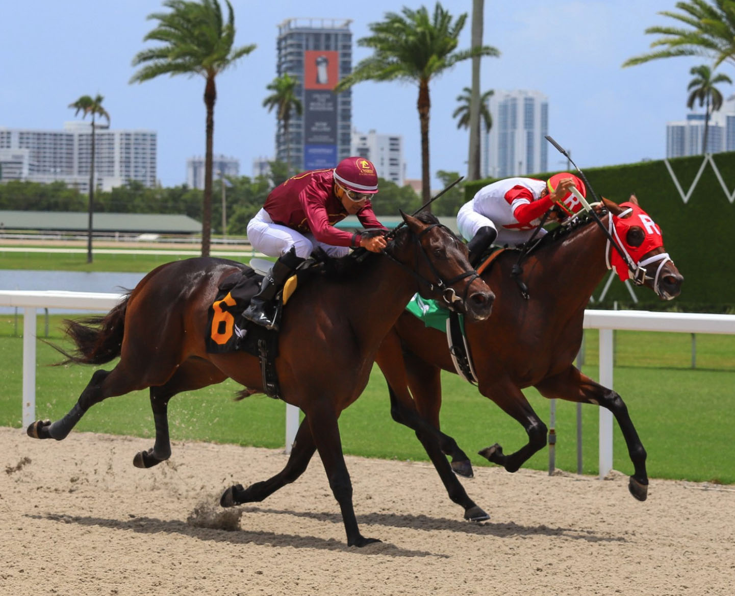 Florida-bred Thoroughbred Boyhood Dream and jockey Samy Camacho gallop along the inside rail at Gulfstream Park, with fellow Florida-bred King Cousin B and jockey Leonel Reyes applying pressure at Boyhood Dream’s neck on the outside. Boyhood Dream and Camacho held the lead, winning a Maiden Special Weight on June 26, 2026. (Photo: ©Adam Coglianese)