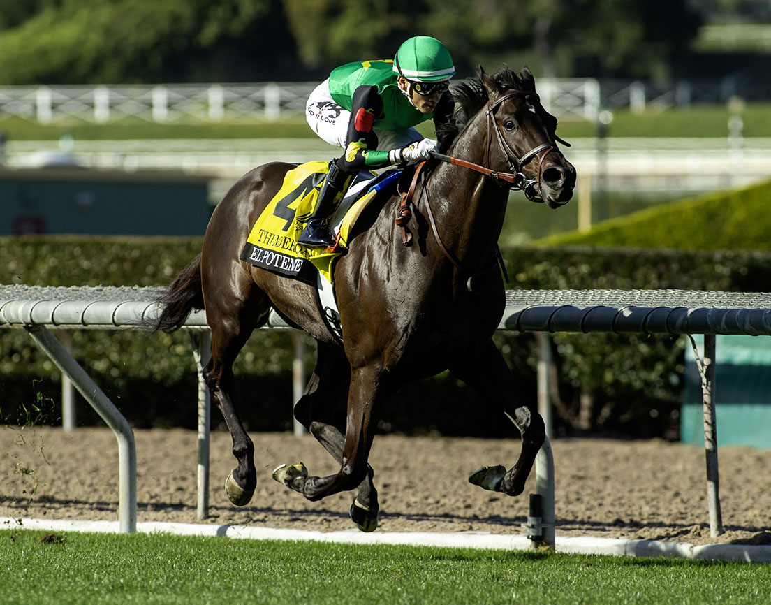 Florida-bred Thoroughbred El Potente and jockey Hector Isaac Berrios gallop to the wire at Santa Anita to defend El Potente’s title and win the 2026 Grade 3 Thunder Road. (Photo: ©Benoit)