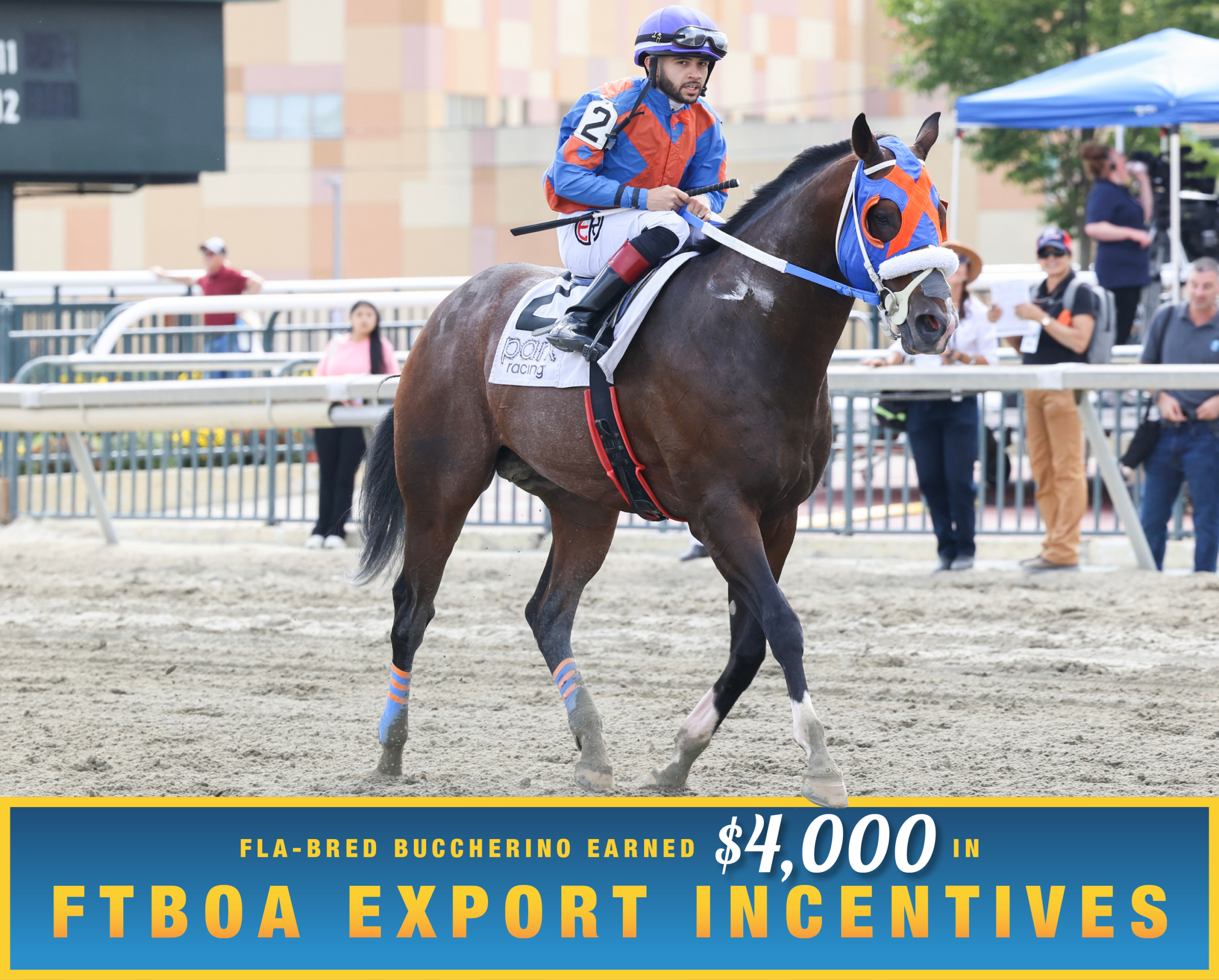 Florida-bred Thoroughbred Buccherino trots smartly along the race track railing, guided from the saddle by jockey Eliseo Ruiz, who turns to look at the camera after the duo’s win of the 2026 Stable Recovery Stakes at Parx Racing. (Photo: ©Nikki Sherman/EQUI-PHOTO) Beneath the photo, a gradient light blue to dark blue banner, edged in an orange to yellow frame, is featured. The banner reads, “Fla-bred Buccherino Earned $4,000 in FTBOA Export Incentives.” Buccherino’s right front hoof overlaps the frame.