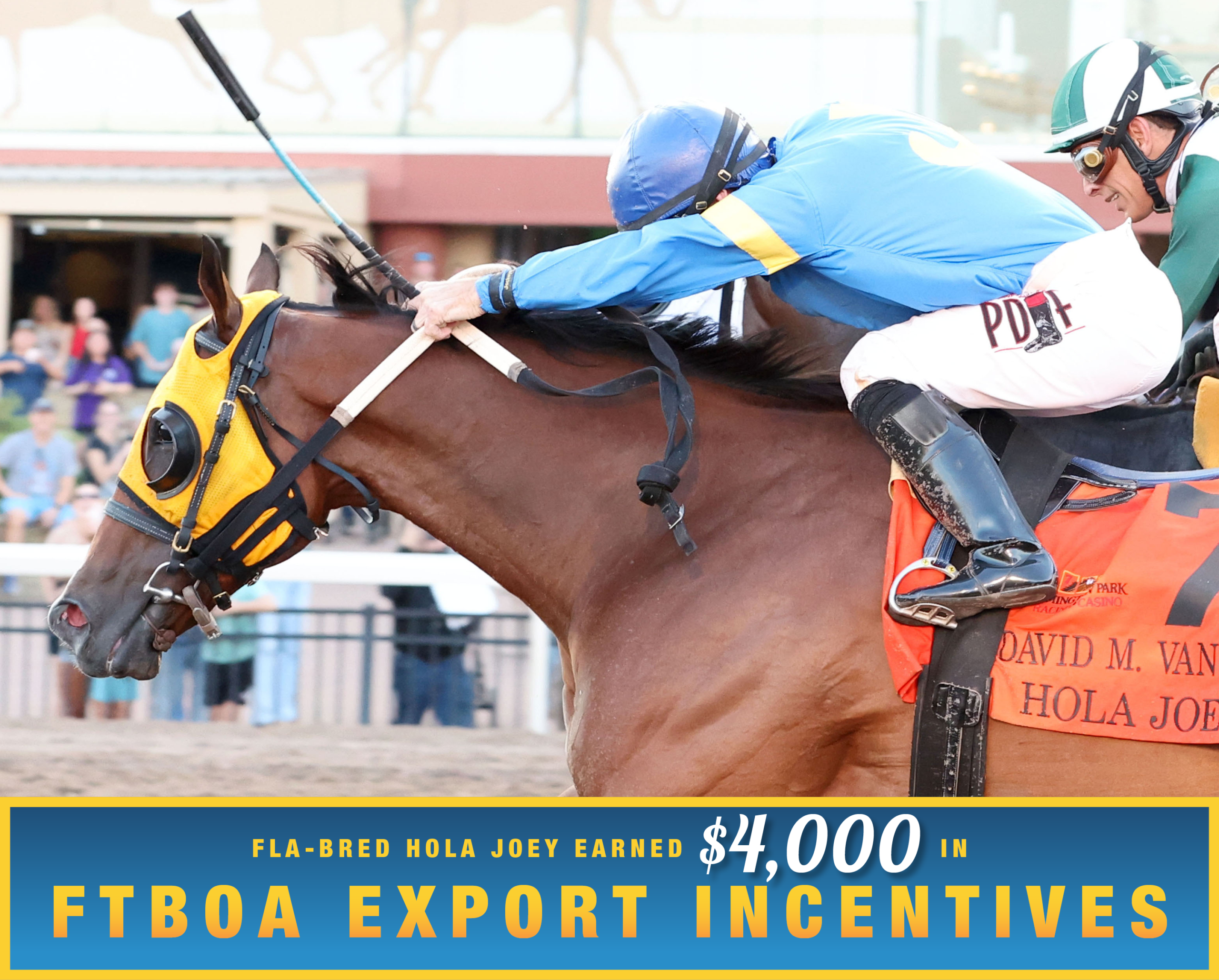 Closely cropped headshot of Florida-bred Thoroughbred Hola Joey and jockey Alex Birzer rocket to the wire at Remington Park, winning the 2026 David M. Vance Stakes. (Photo: ©Kurtis Coady/Coady Media) Beneath the photo, a gradient light blue to dark blue banner, edged in an orange to yellow frame, is featured. The banner reads, “Fla-bred Hola Joey Earned $4,000 in FTBOA Export Incentives.”