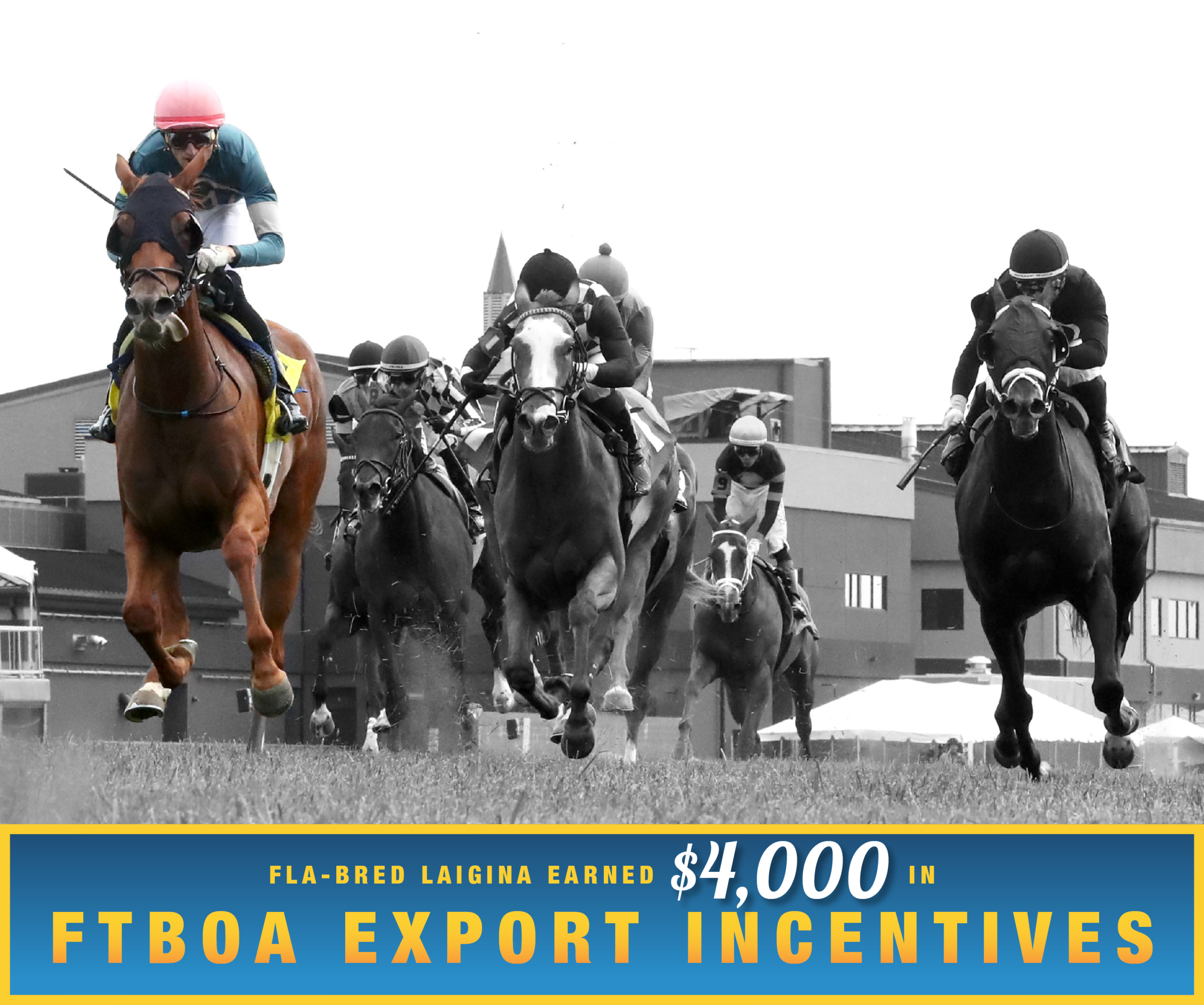 Florida-bred Thoroughbred Laigina and jockey Keith Asmussen rocket towards the camera, leaving their competition trailing behind them. The duo crossed the wire first, winning the 2026 $250,000 Lucky Lantern at Kentucky Downs. Laigina and Asmussen are in full color, while the rest of the image is edited into grayscale. (Photo: ©Casey Cable/Coady Media) Beneath the photo, a gradient light blue to dark blue banner, edged in an orange to yellow frame, is featured. The banner reads, “Fla-bred Souper Forces Earned $4,000 in FTBOA Export Incentives.”
