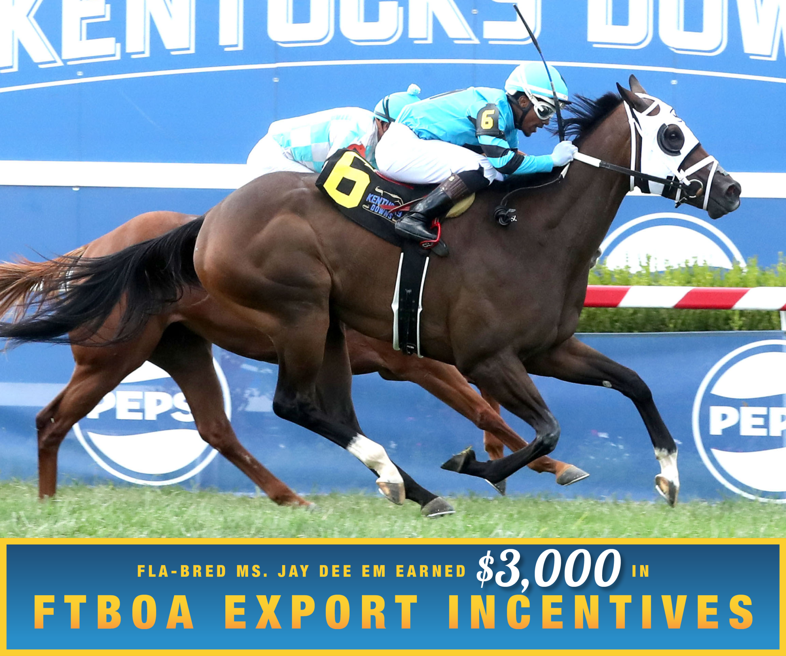 Florida-bred Thoroughbred Ms. Jay Dee Em and jockey Ricardo Santana Jr. fly across the wire at Kentucky Downs, holding the lead by a neck against inside rail competition Sutura to win a maiden special weight on September 9, 2026. (Photo: ©Coady Media) Beneath the photo, a gradient light blue to dark blue banner, edged in an orange to yellow frame, is featured. The banner reads, “Fla-bred Ms. Jay Dee Em Earned $3,000 in FTBOA Export Incentives.”