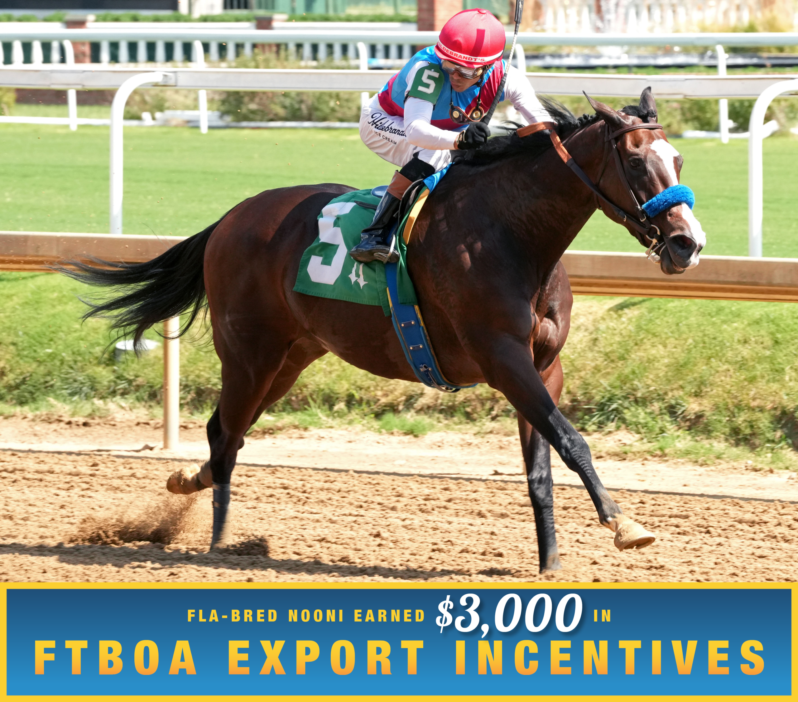 Florida-bred Nooni and jockey Jose Ortiz gallop to the wire at Churchill Downs, scoring a third condition, $100,000 optional claiming on September 13, 2026. (Photo: ©Coady Media) Beneath the photo, a gradient light blue to dark blue banner, edged in an orange to yellow frame, is featured. The banner reads, “Fla-bred Nooni Earned $3,000 in FTBOA Export Incentives.
