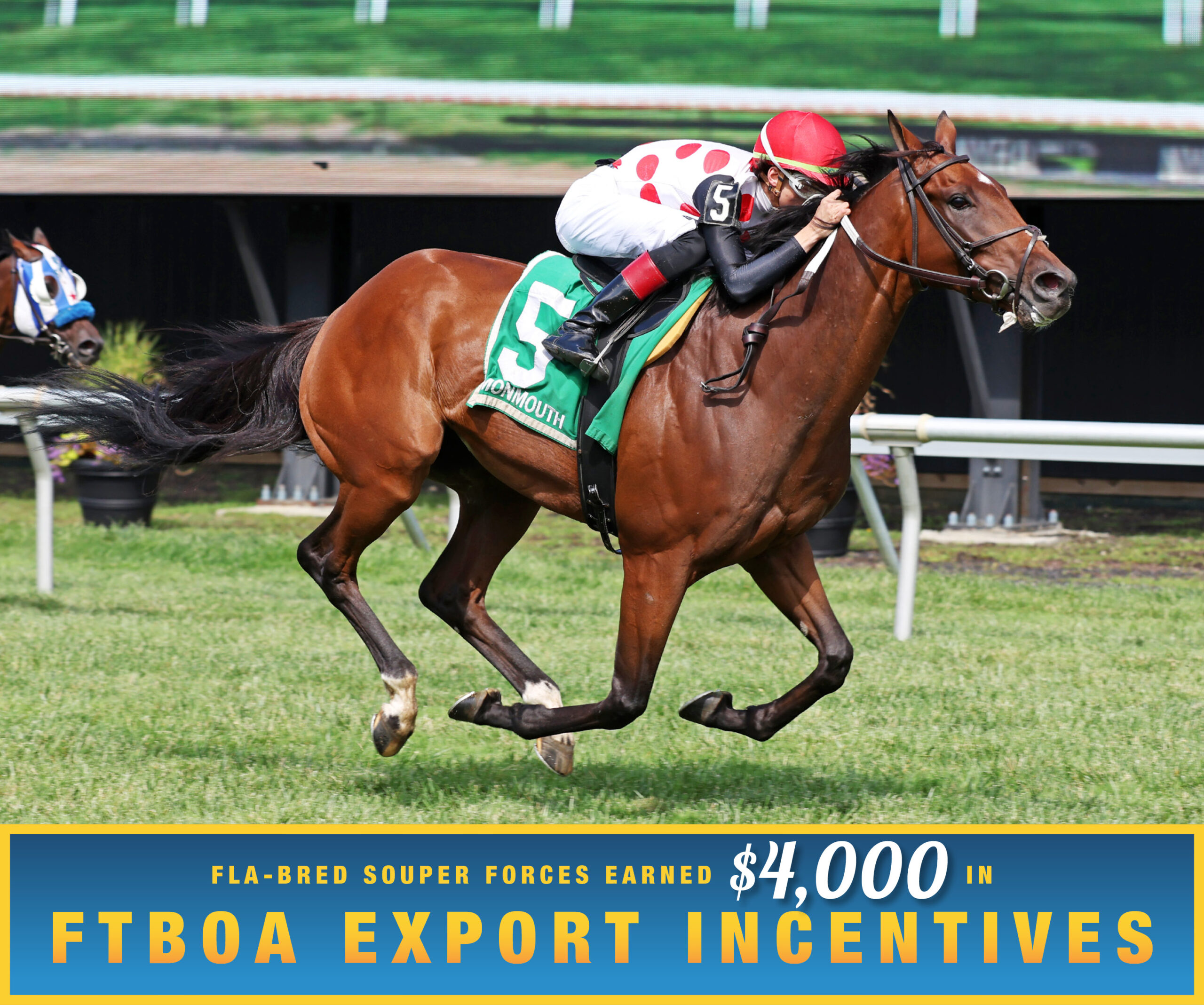 Florida-bred Thoroughbred Souper Forces and jockey Charlie Marquez gallop ahead of competition to win the 2026 Red Bank at Monmouth Park. (Photo: ©Bill Denver/EQUI-PHOTO) Beneath the photo, a gradient light blue to dark blue banner, edged in an orange to yellow frame, is featured. The banner reads, “Fla-bred Souper Forces Earned $4,000 in FTBOA Export Incentives.”