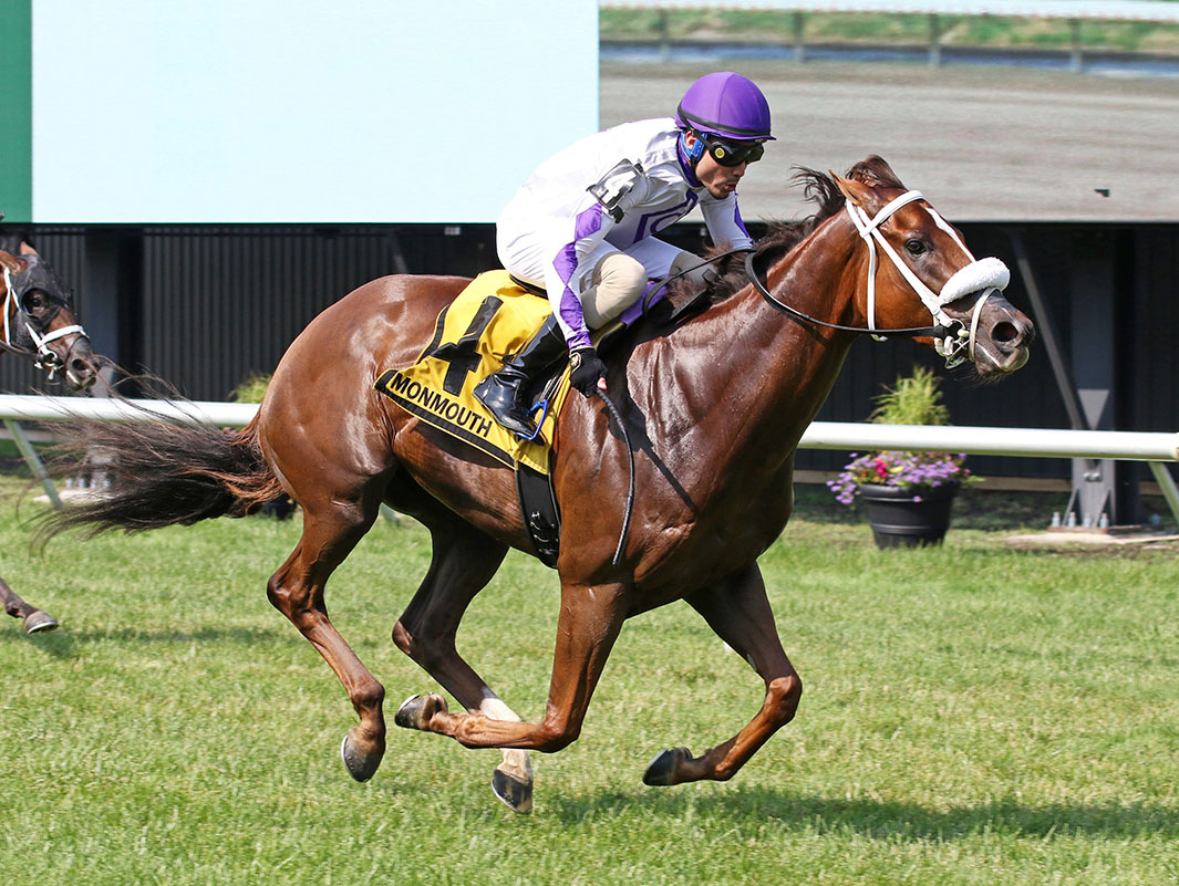 Florida-bred Thoroughbred Gerrards Cross and jockey Cipriano Gil gallop to the wire at Monmouth Park to win the 2026 Monmouth County Stakes. (Photo: ©Bill Denver/EQUI-PHOTO)
