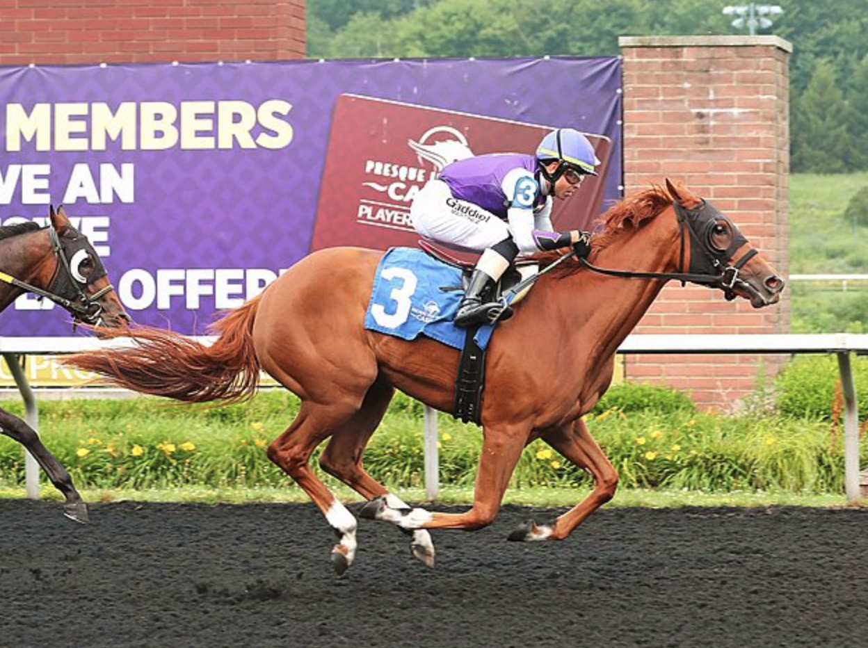 Florida-bred Thoroughbred Greatest Joy and jockey Gaddiel Martinez gallop to the wire at Presque Isle Downs, outlasting the competition on Greatest Joy’s tail to win a Maiden Special Weight on July 6, 2026. (Photo: ©Ashley Phillips/Coady Media)