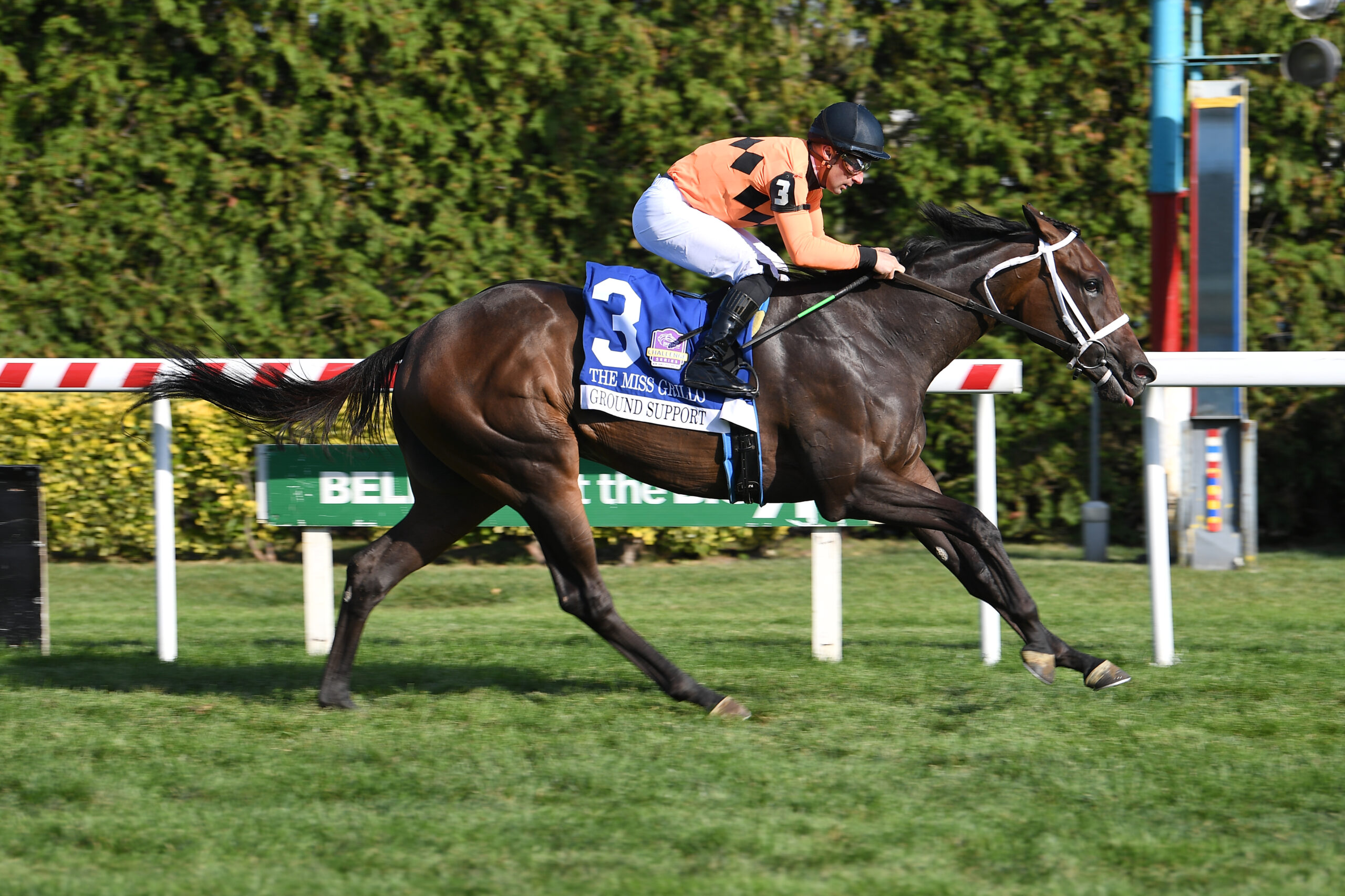 Florida-bred Thoroughbred Ground Support and jockey Adam Beschizza gallop alone past the wire at Aqueduct Race Track to win the Grade 2 2025 Miss Grillo. (Photo: Adam Coglianese)