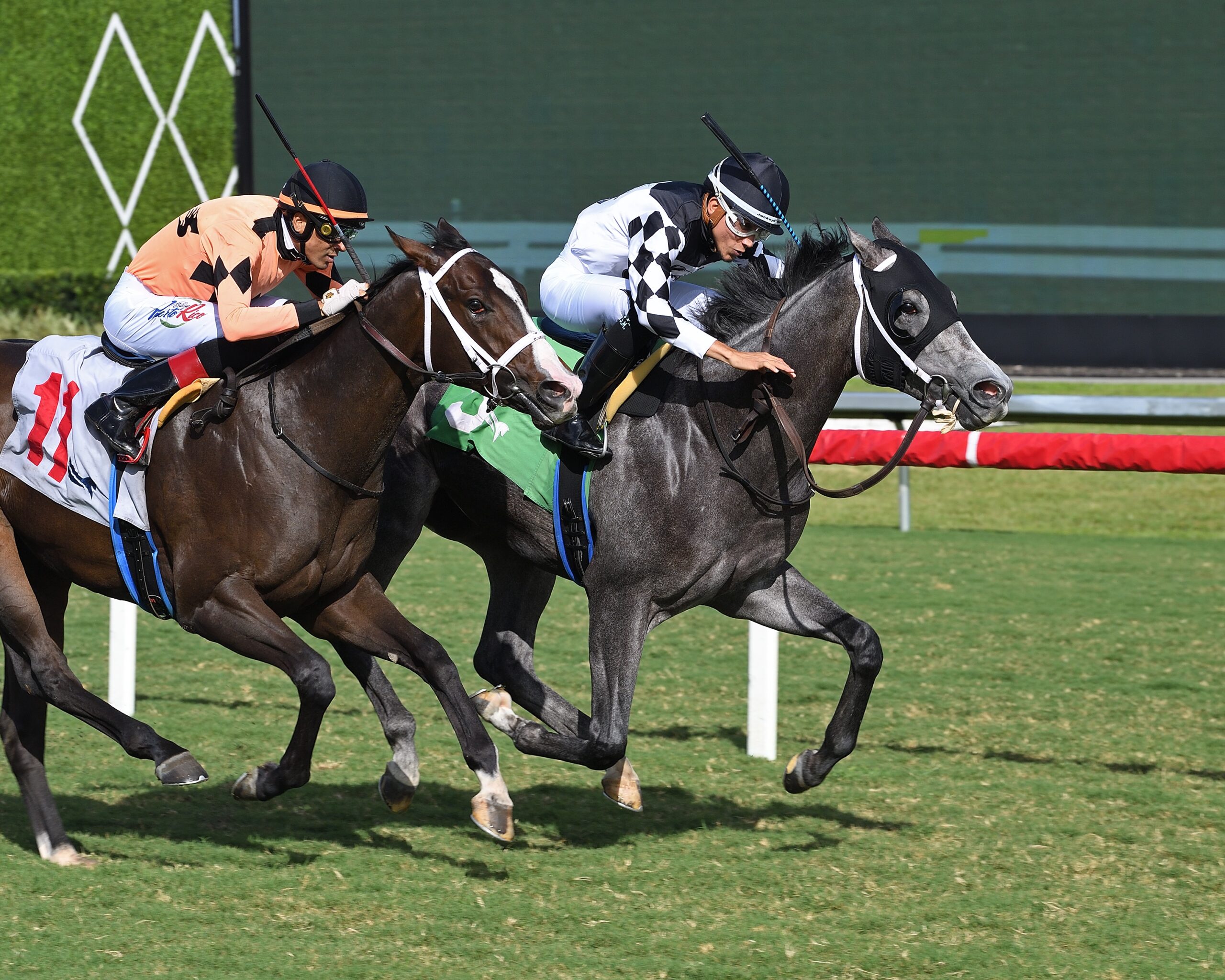 Florida-bred Thoroughbred Itza Boss and jockey Samuel Marin gallop to the wire at Gulfstream Park on the inside rail, while competitor Fling Ready and jockey Edwin Gonzalez apply pressure from the outside at Itza Boss’s neck. Itza Boss and Marin held the lead, winning a Maiden Special Weight on November 8, 2024. (Photo: ©Ryan Thompson)