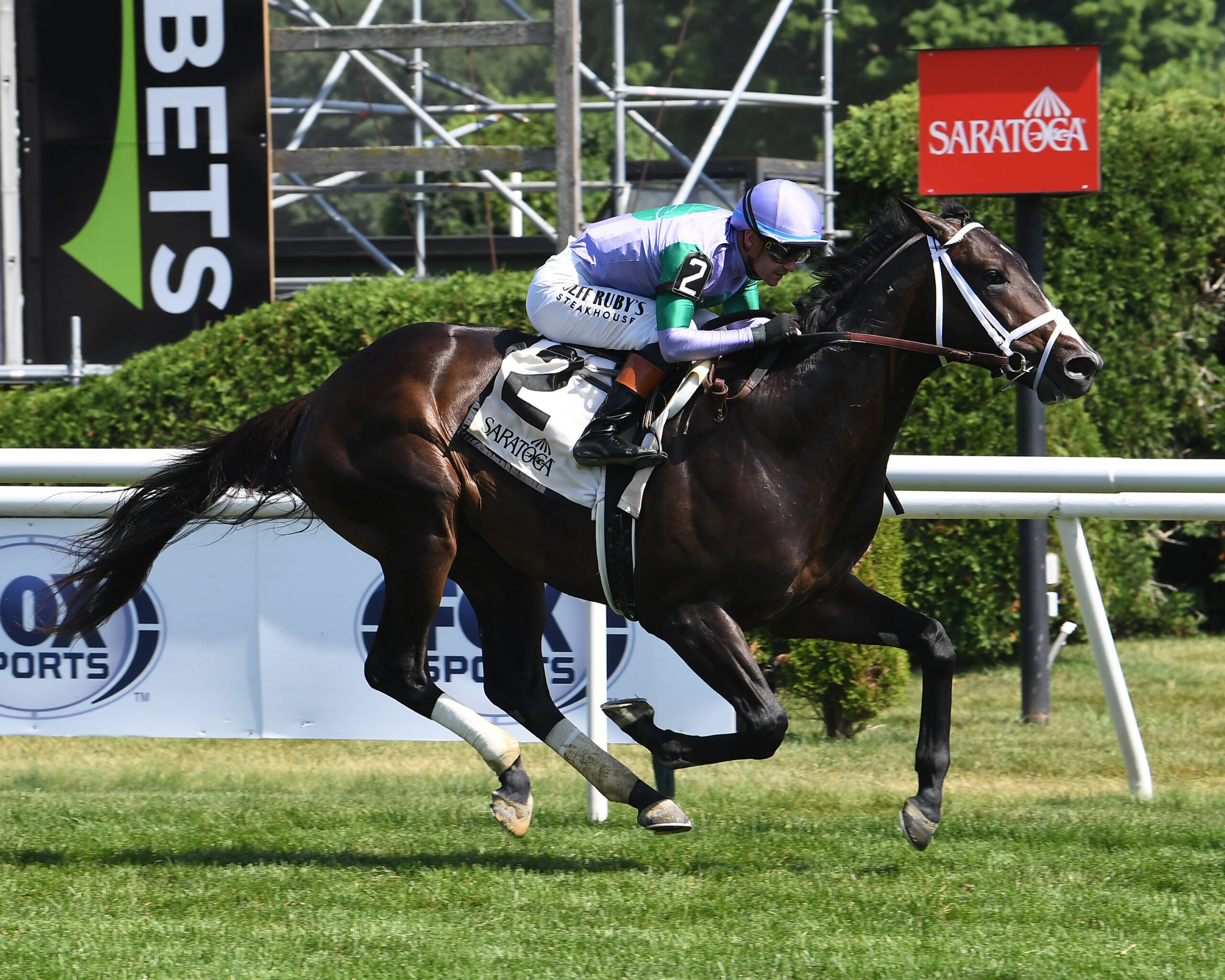 Florida-bred Thoroughbred Liam’s Law and jockey Flavien Prat gallop to the wire at Saratoga to win a Maiden Special Weight on July 12, 2026. (Photo: ©Susie Raisher)