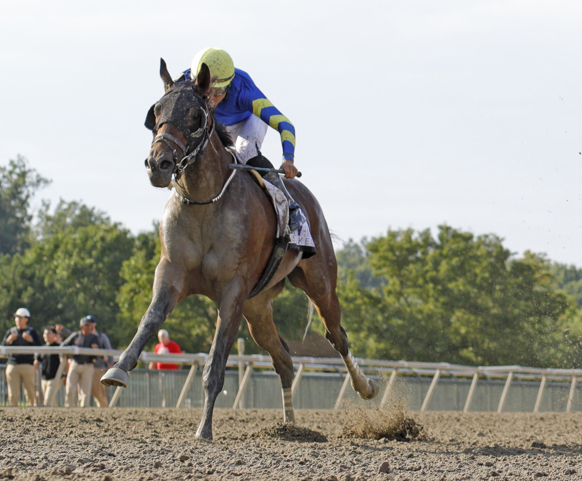 Florida-bred Thoroughbred Micanopy rockets to the lead with jockey Samuel Marin in the saddle, speeding past competitor Ponder and Dream (out of frame) to win the 2026 Smarty Jones (Listed) at Parx Racing. (Photo: ©Bill Denver/EQUI-PHOTO)