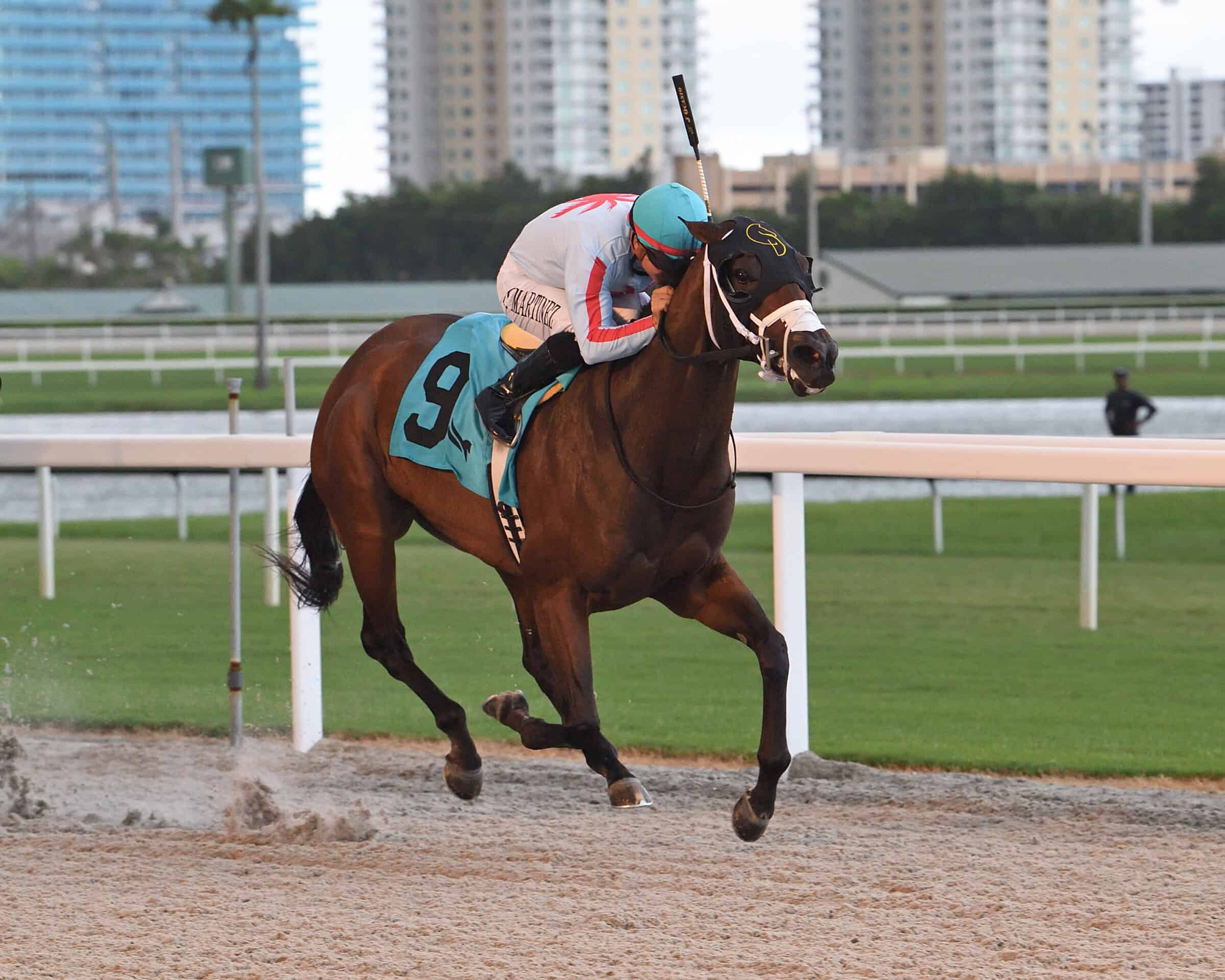 lorida-bred Thoroughbred Miss Mary Nell and jockey Jonathan Ocasio gallop to the wire at Gulfstream Park, winning the 2026 Ginger Punch. (Photo: ©Taylor Ejdys)