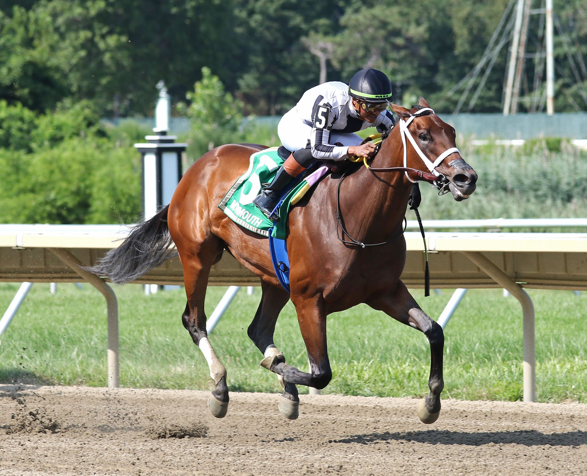 Florida-bred Thoroughbred My Miss Mo and jockey Micah Husbands gallop to the wire at Monmouth Park, winning the 2026 Monmouth Oaks (Grade 3). (Photo: ©Bill Denver/EQUI-PHOTO)