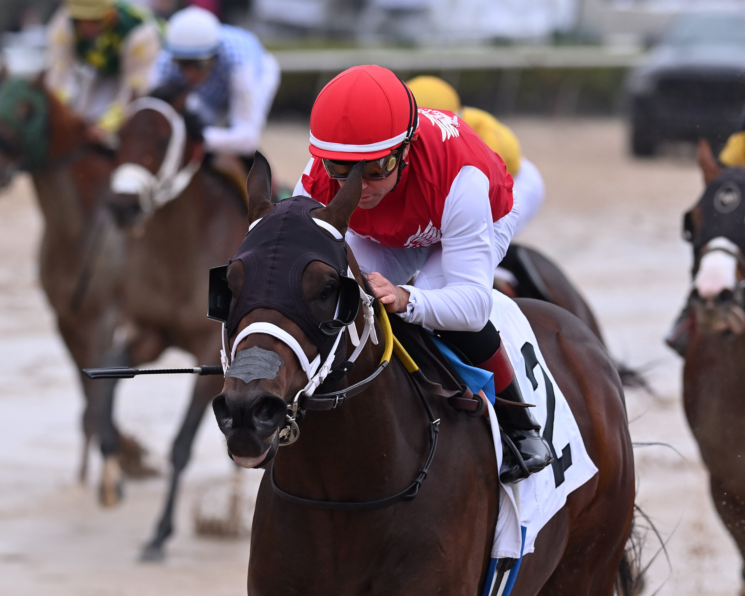 Closely cropped headshot of Florida-bred Thoroughbred Neoequos and jockey Drayden Van Dyke gallop ahead of a field of Florida-breds, leaving behind their competition to win an Allowance race at Gulfstream Park on January 23, 2025. (Photo: ©Ryan Thompson)