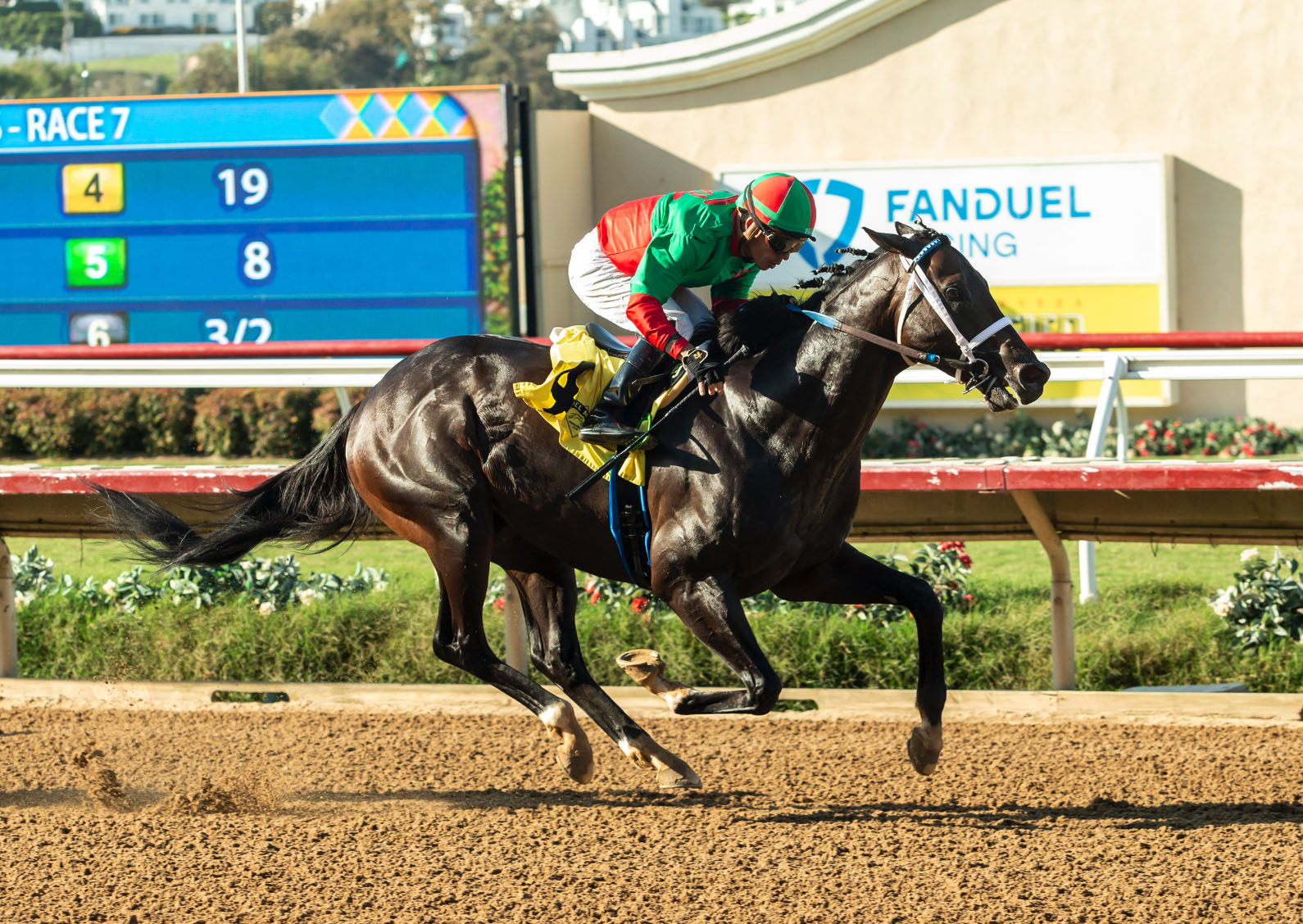 Florida-bred Thoroughbred Nesso’s Lastharrah and jockey Emisael Jaramillo gallop to the wire at Del Mar Park, winning a $100,000 Allowance Optional Claiming on August 28, 2026. (Photo: ©Benoit)