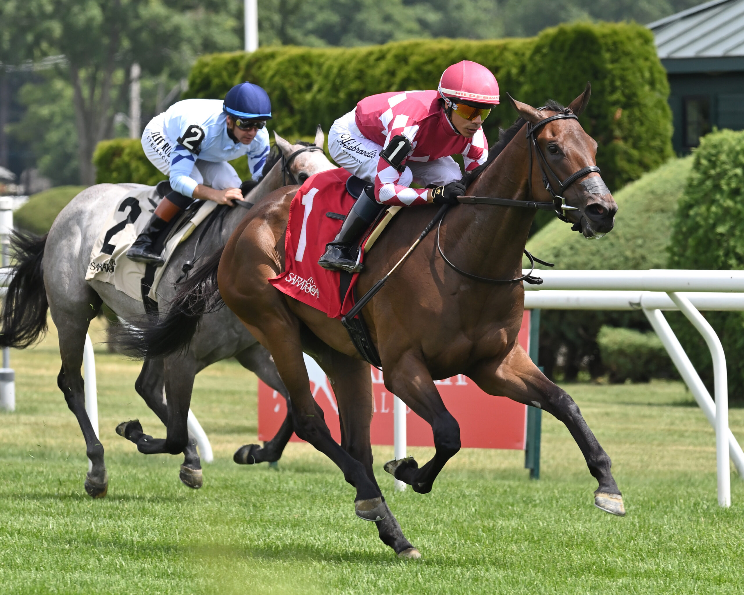 Florida-bred Pros and Cons and jockey Jose Ortiz gallop at the head of the pack to the wire at Saratoga, scoring a Maiden Special Weight on July 10, 2026. (Photo: ©Adam Coglianese)