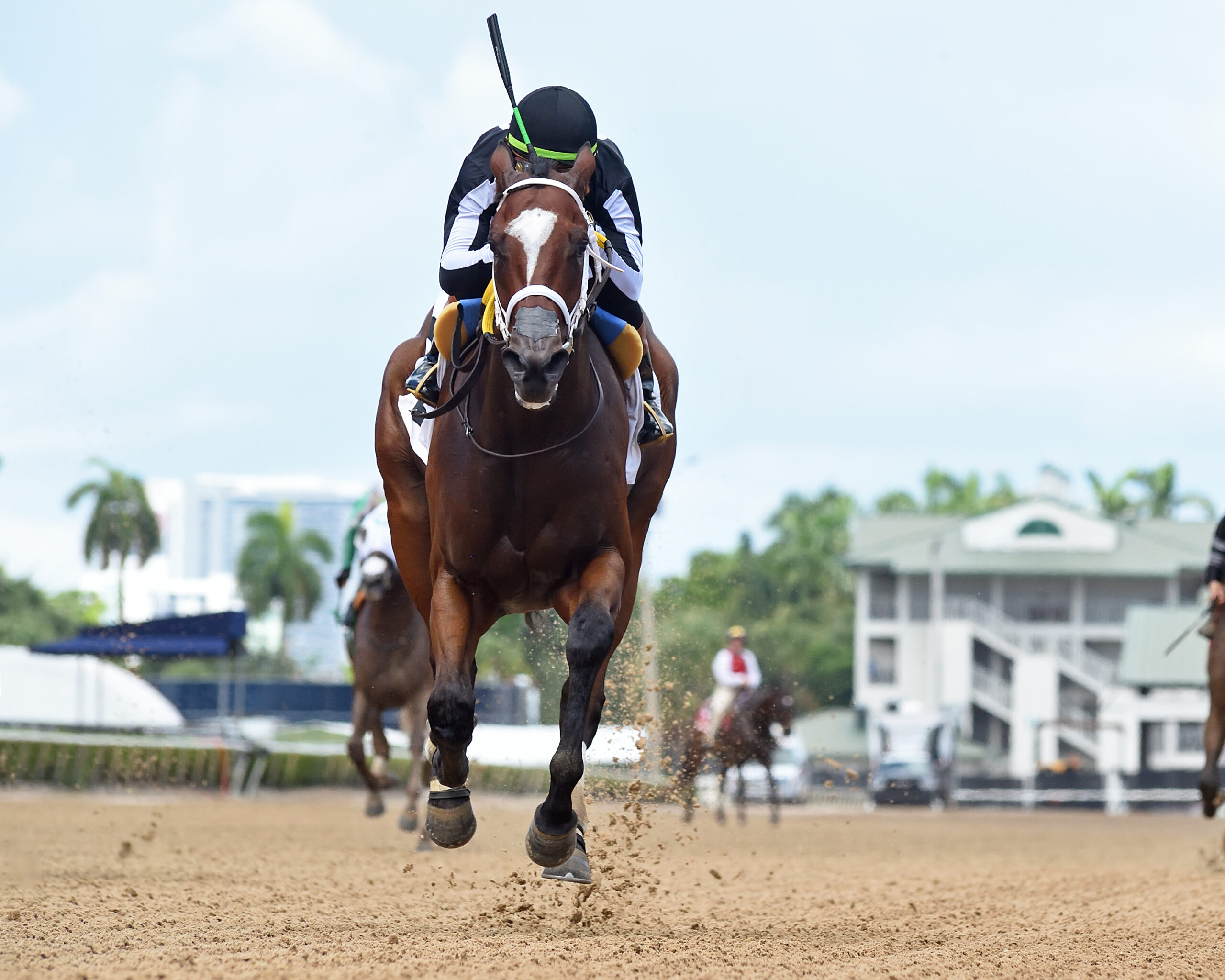 Florida-bred Thoroughbred R Island Jewel and jockey Rasheed Hughes rocket towards the camera, galloping across the wire alone to win the 2026 Three Ring at Gulfstream Park. (Photo: ©Ryan Thompson)