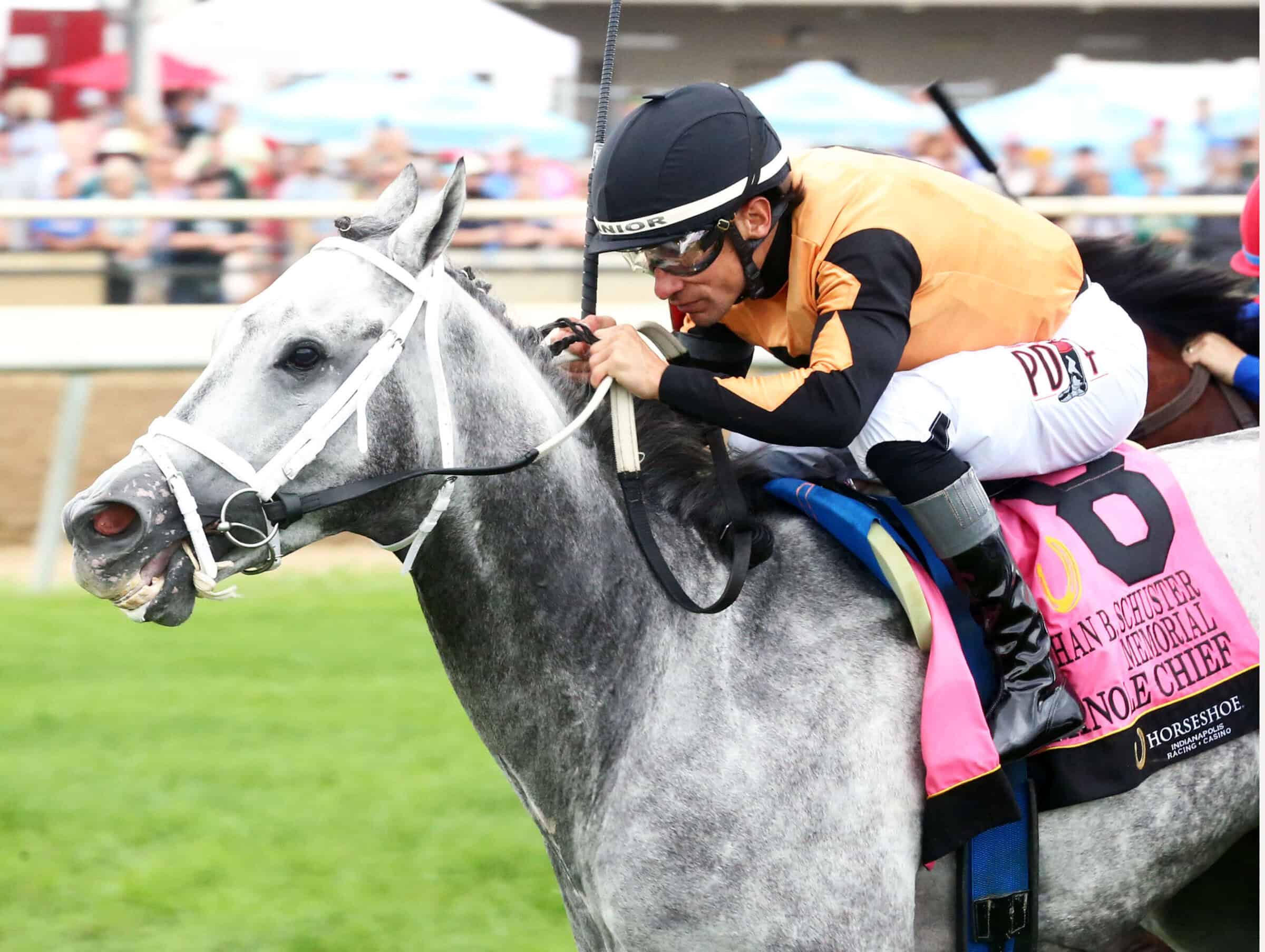 Closely cropped headshot of Florida-bred Thoroughbred Seminole Chief and jockey Junior Alvarado galloping across the finish line to win the 2026 Jonathan B. Schuster Memorial at Horseshoe Indianapolis. (Photo: ©Coady Media)