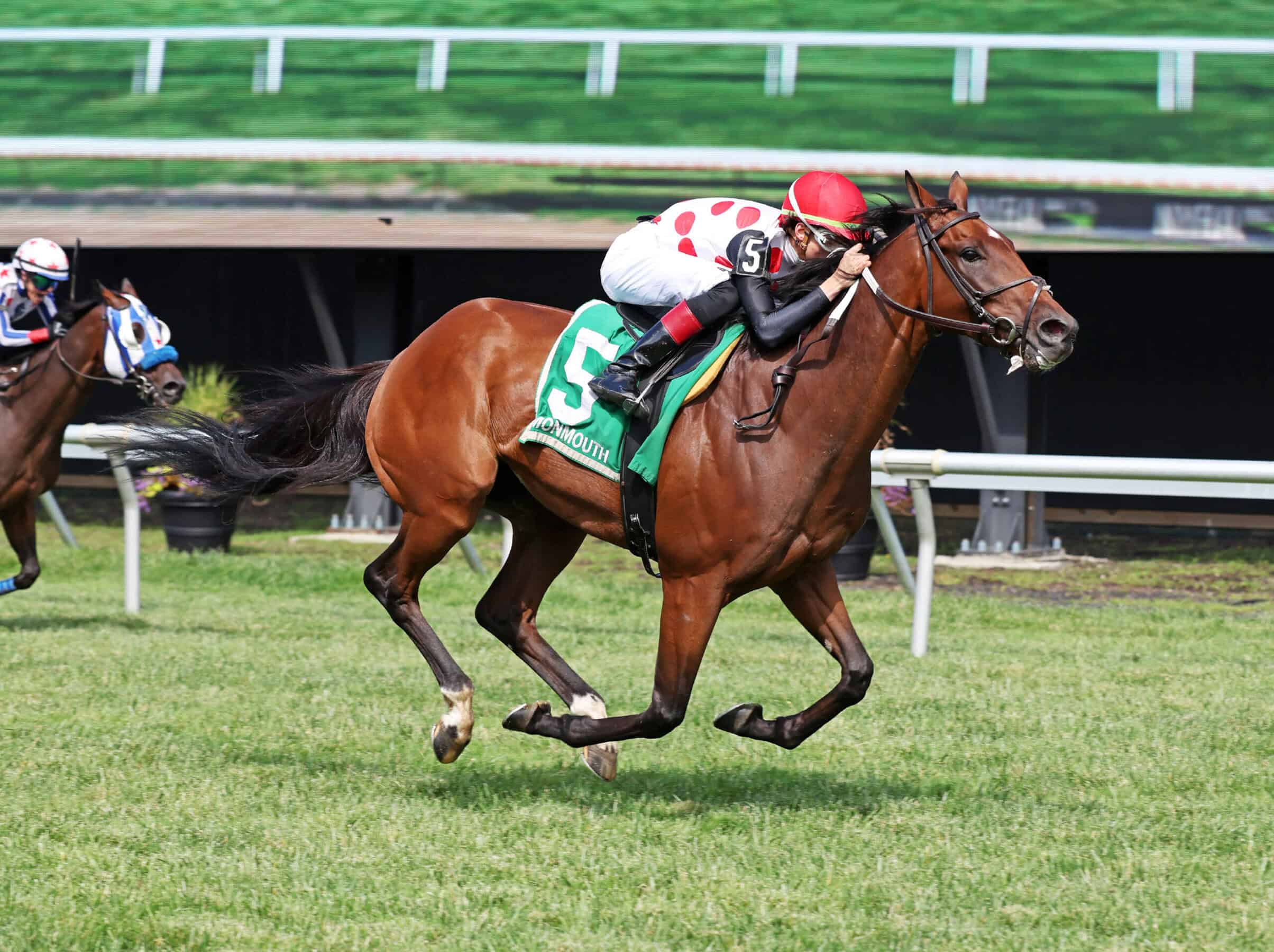 Souper Forces ridden by Jockey Charlie Marquez won the $100,000 Red Bank Stakes at Monmouth Park Racetrack in Oceanport, NJ on Sunday September 6, 2026. Souper forces is trained by Michael Trombetta for Owner Live Oak Plantation. Photo By Bill Denver/EQUI-PHOTO