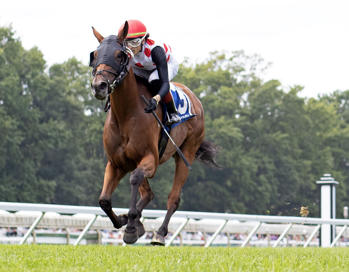 Florida-bred Thoroughbred Souper Williwaw and jockey Charlie Marquez rocket towards the camera, galloping ahead of competition to win the 2026 Violet Stakes on the Monmouth Park turf. (Photo: ©Ryan Denver/EQUI-PHOTO)