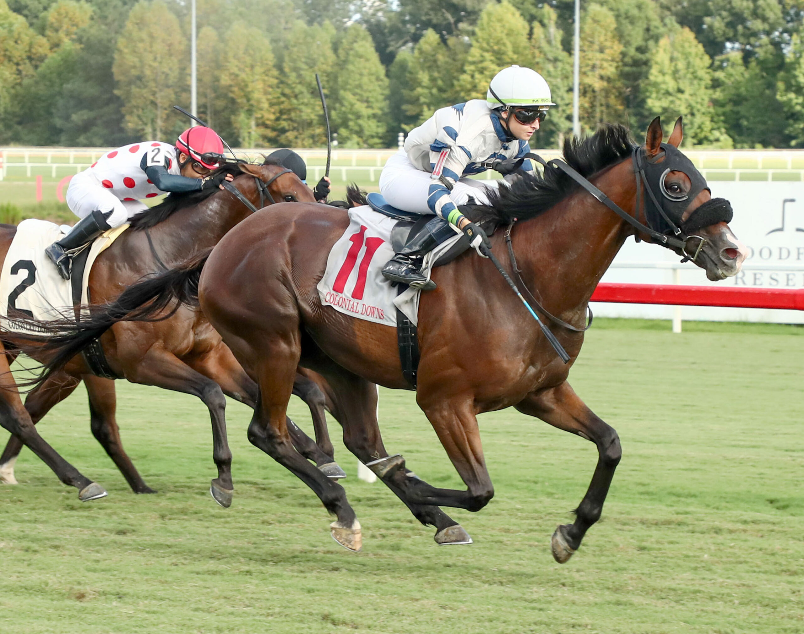 Florida-bred Thoroughbred Spirited Sol and jockey Martina Rojas gallop ahead of their competitors, including fellow Florida-bred Souper Quest and Creed’s Vision, who run on the inside. Spirited Sol and Rojas crossed the wire first to win the 2026 Da Hoss Stakes at Colonial Downs. (Photo: ©Coady Media)