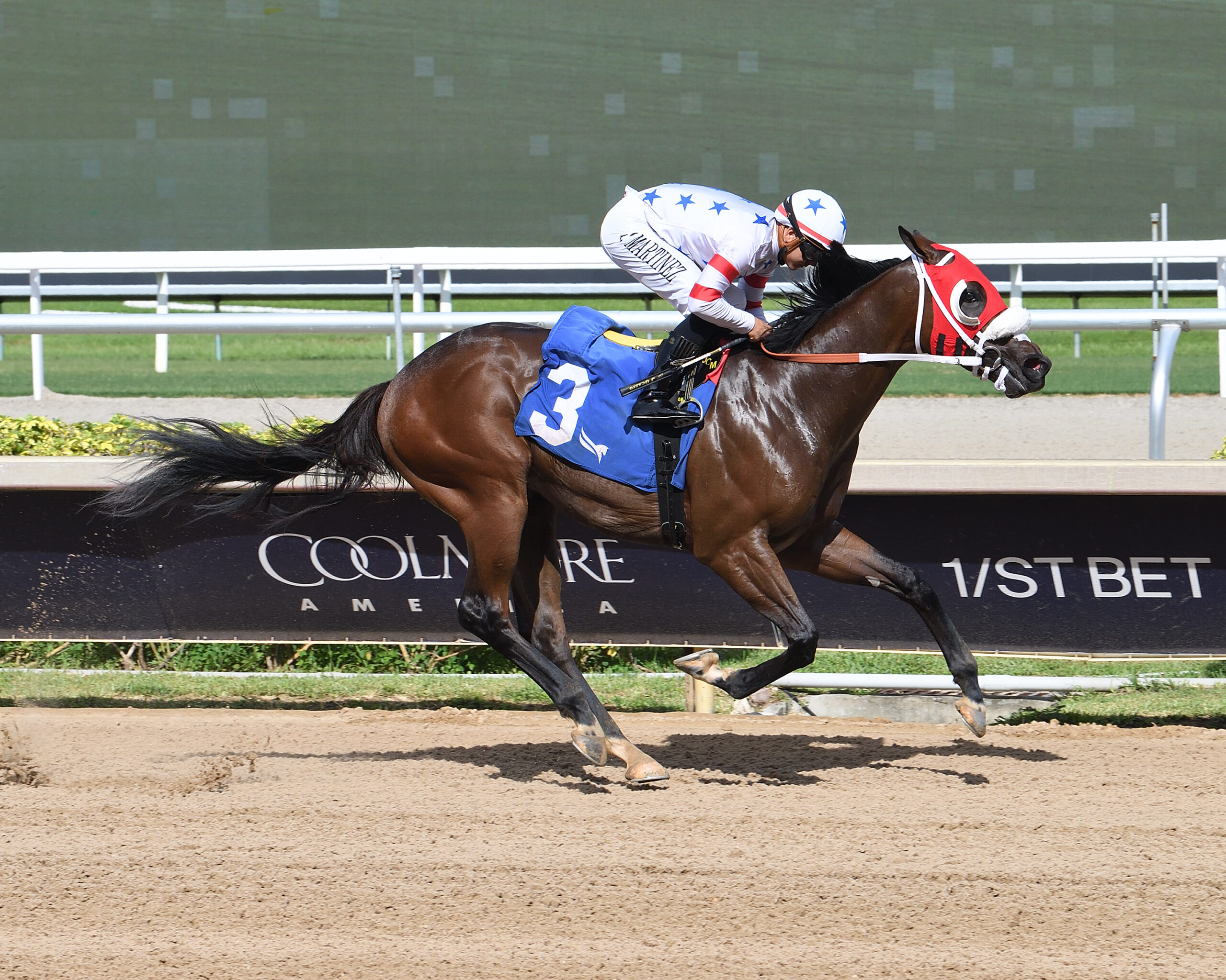 Florida-bred Thoroughbred Sum of Success and jockey Jonathan Ocasio gallop to the wire at Gulfstream Park unchallenged, winning the 2026 Express Tour at Gulfstream Park. (Photo: ©Ryan Thompson)