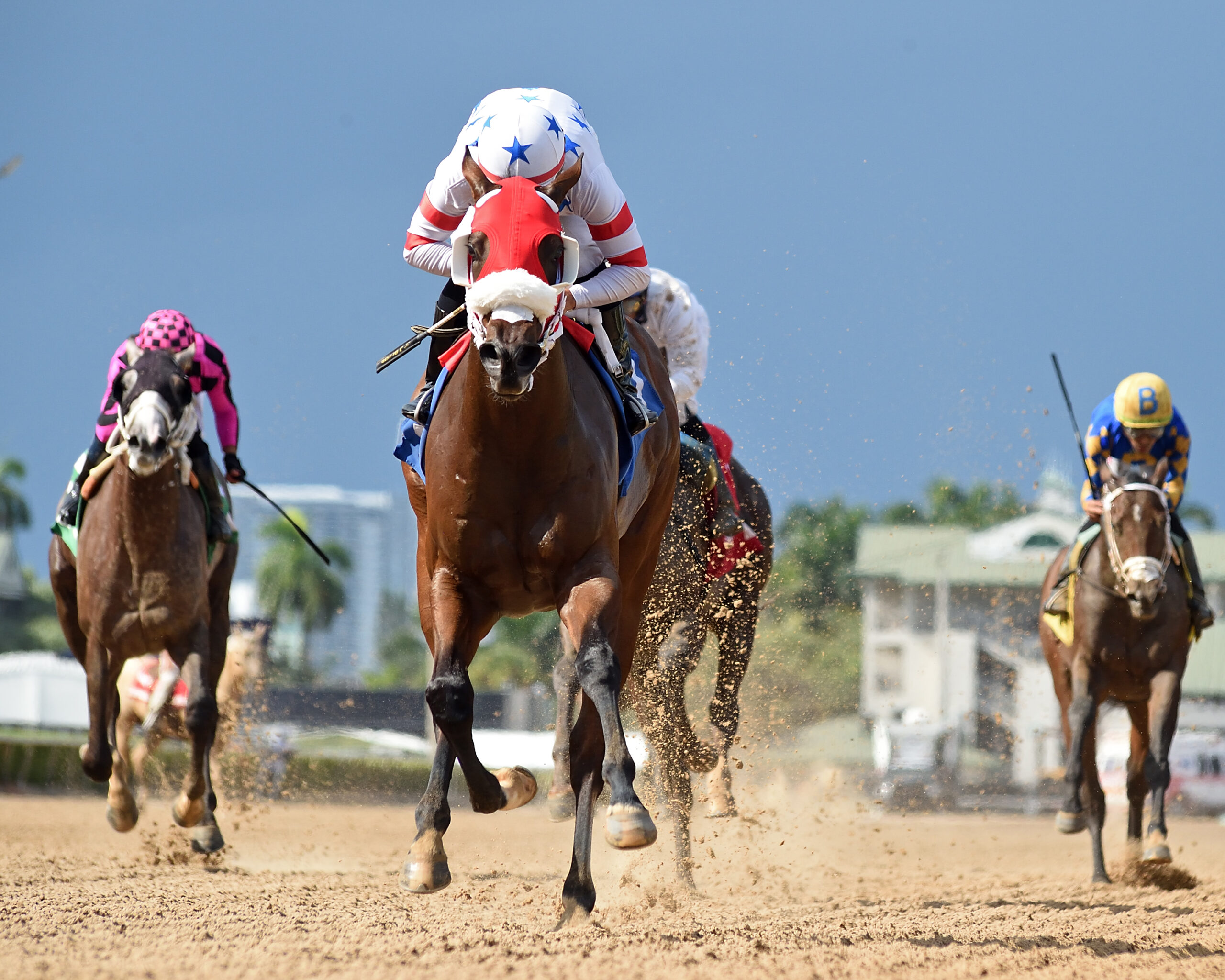 Florida-bred Sum of Success and jockey Jonathan Ocasio gallop at the head of the pack of fellow Florida-breds, running directly at the camera. Sum of Success and Ocasio overpowered the group, crossing the wire unchallenged to win the 2026 Express Tour at Gulfstream Park. (Photo: ©Ryan Thompson)