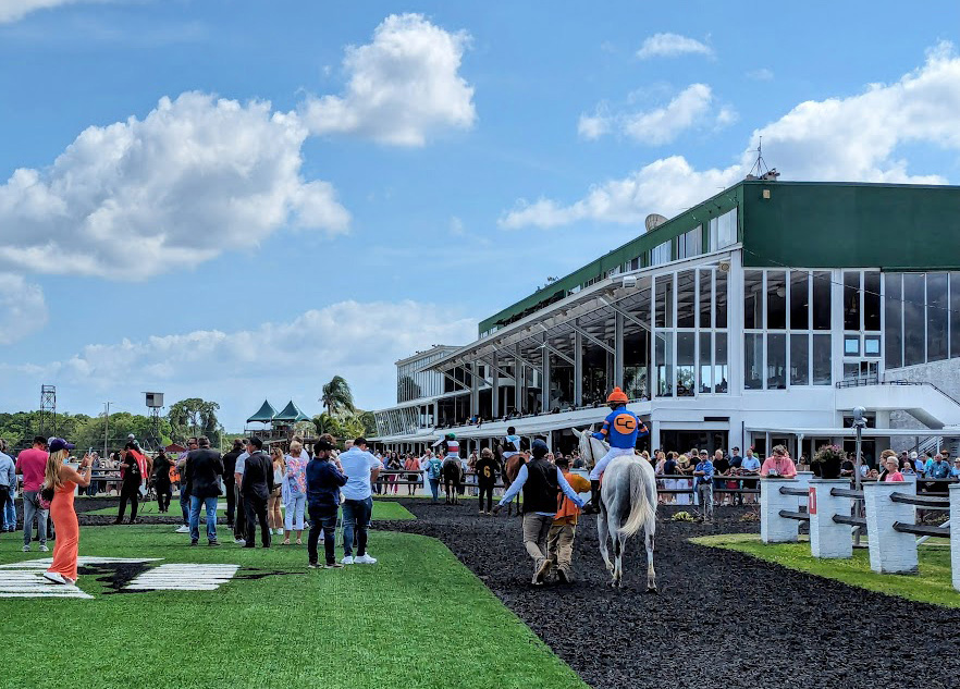 Photo of the paddock and grandstand of Tampa Bay Downs on a busy race day. The grandstand is full of people as racehorses are walked before the next race. (Photo: ©Tammy A. Gantt)