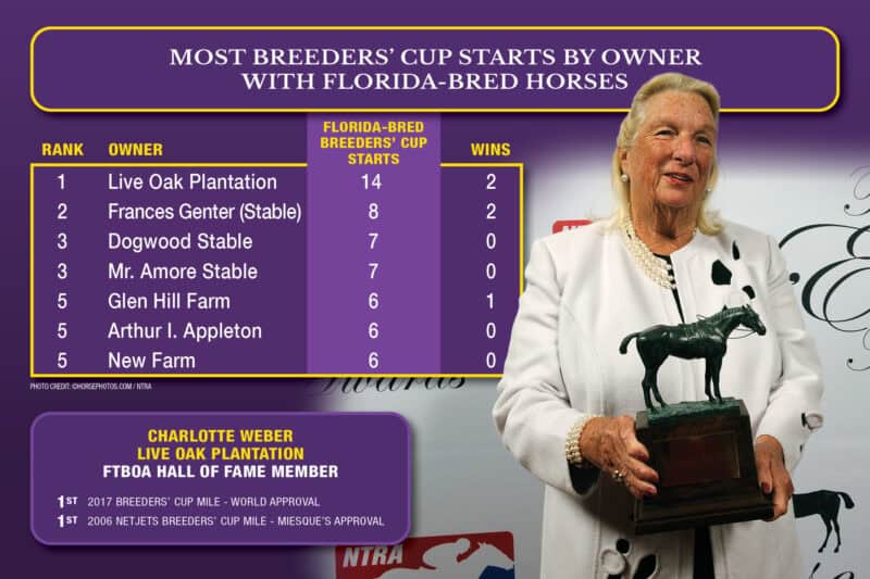 Graphic detailing the most Breeders’ Cup starts by owner with a Florida-bred Thoroughbred. The graphic is Breeders’ Cup purple, accented by their yellow. The graphic ranks Live Oak Plantation at the top with 14 Florida-bred Breeders’ Cup starts and ends with New Farm with 6 starts. A photo of FTBOA Hall of Farm Member Charlotte Weber overlaps the majority of the right side of the graphic. (©horsephotos.com/ntra)