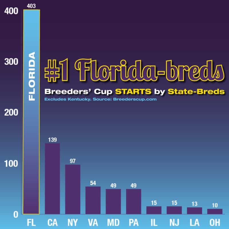 A purple to light blue gradient bar chart that details how Florida-breds have the most Breeders’ Cup starts by state-breds outside of Kentucky. Florida-breds lead with 403 entrants, while Ohio ends the graphic with 10 entrants.