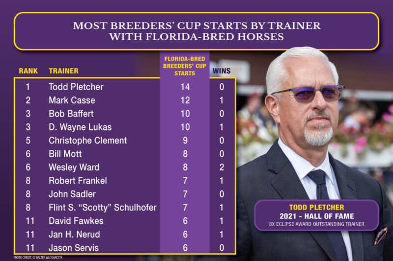 Graphic detailing the most Breeders’ Cup starts by a trainer with Florida-bred horses. The graphic is Breeders’ Cup purple, accented by their yellow. The chart ranks Todd Pletcher at the top with 14 starts and ends with Jason Servis at 6. A photo of Todd Pletcher overlaps the majority of the right hand of the graphic. (Photo: ©Walter Wlodarczyk)