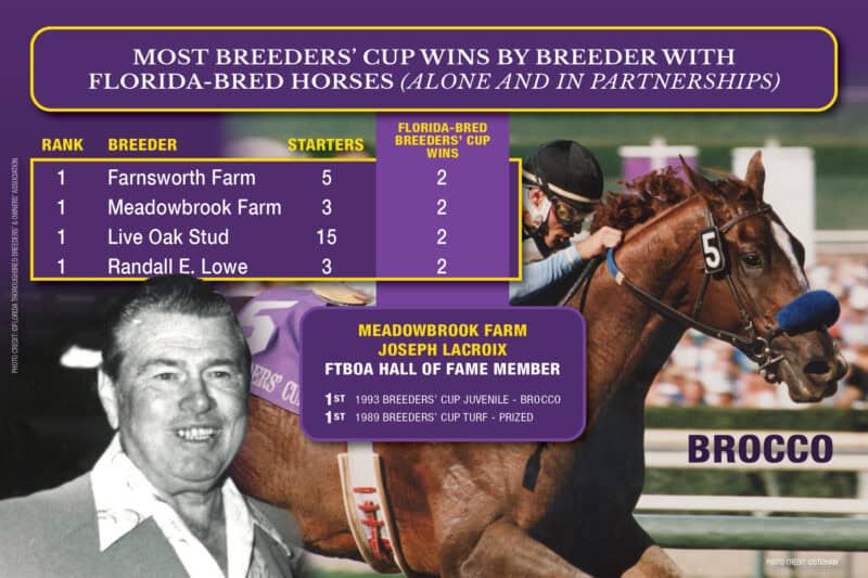 Graphic detailing the most Breeders’ Cup wins by a breeder with Florida-bred Horses (both alone and in partnerships). The graphic is Breeders’ Cup purple, accented by their yellow. The breeders mentioned are all tied with 2 wins, and are in listed order: Farnsworth Farm, Meadowbrook Farm, Live Oak Stud, and Randall E. Lowe. A grayscale photo of Joseph LaCroix is faded into the left hand bottom of the graphic (©FTBOA), which overlaps a photo of Florida-bred Brocco galloping to the wire (©OSTIDHAM).