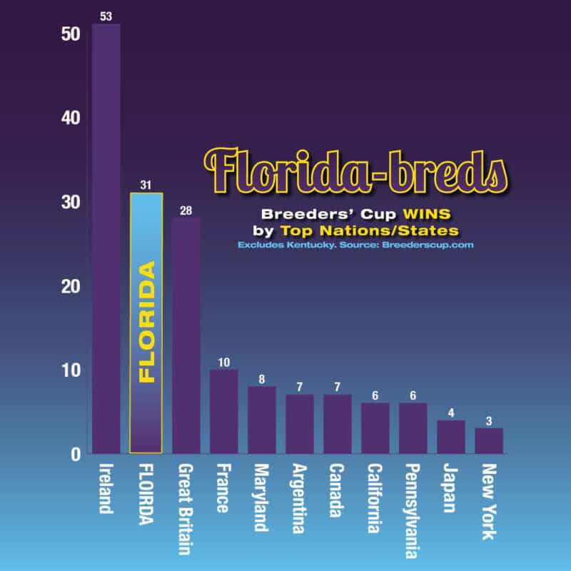 A purple to light blue gradient bar chart that details how Florida-breds rank second highest outside of Kentucky with Breeders’ Cup wins by Top Nations and States. Ireland leads the chart with 53 wins, Florida is second with 31, and New York is last with 3 wins.