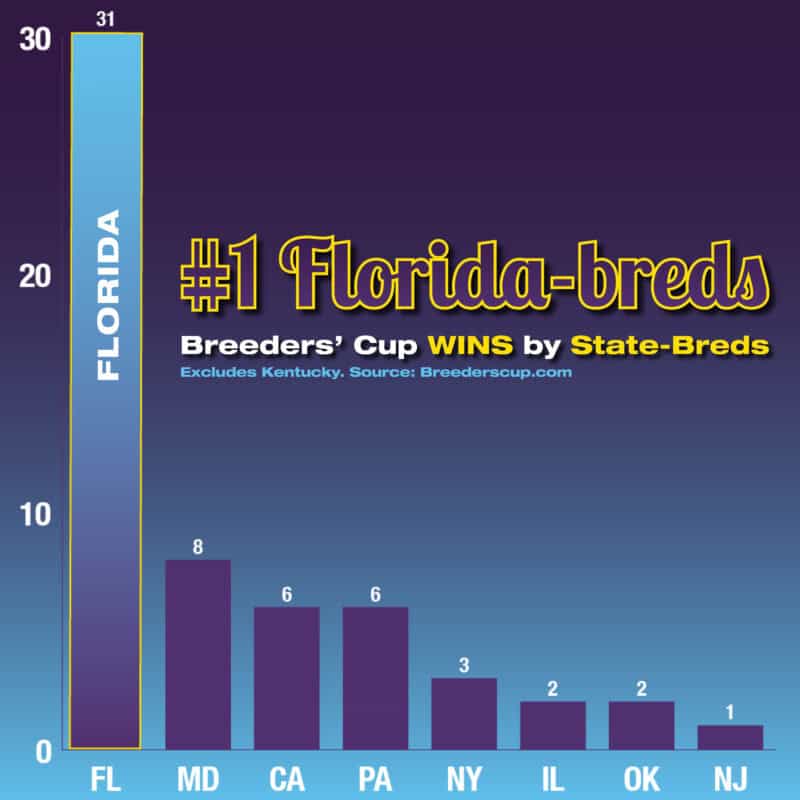 A purple to light blue gradient bar chart that details how Florida-breds have the most Breeder’s Cup wins by state-breds outside of Kentucky. Florida-breds lead with 31 wins, while New Jersey ends the graphic with 1 win.