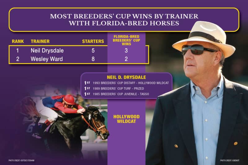 Graphic detailing the most Breeders’ Cup wins by a trainer with Florida-bred horses. The graphic is Breeders’ Cup purple, accented by their yellow. The chart lists Neil Drysdale as the top of the chart with 3 wins, while Wesley Ward is in second with 2 wins. A photo of Florida-bred Thoroughbred Hollywood Wildcat galloping to the wire fades into the left side of the chart (©Steve Stidham), while a photo of Drysdale overlaps the majority of the right hand of the graphic (©Benoit).
