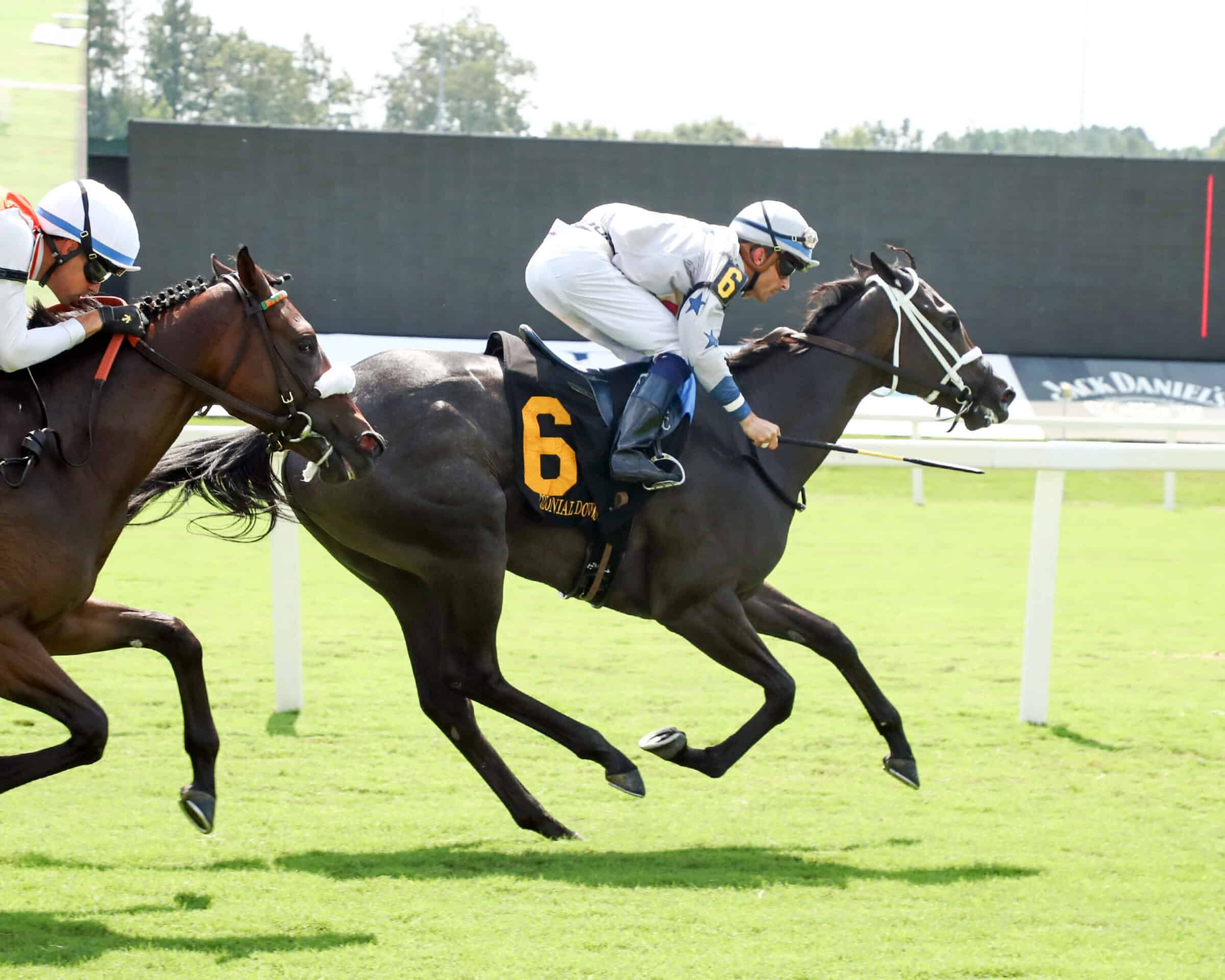 Florida-bred Bellablaze and jockey Sheldon Russell gallop to the wire at Colonial Downs, outpacing incoming competition applying pressure on Bellablaze’s outside to win a Maiden Special Weight on September 3, 2026. (Photo: ©Coady Media)