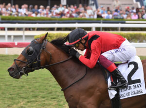 Closely cropped headshot of Florida-bred Thoroughbred Classic of Course and jockey Frankie Dettori galloping to the wire at Gulfstream Park to win the 2025 Cutler Bay. (Photo: ©Nicole Thomas)
