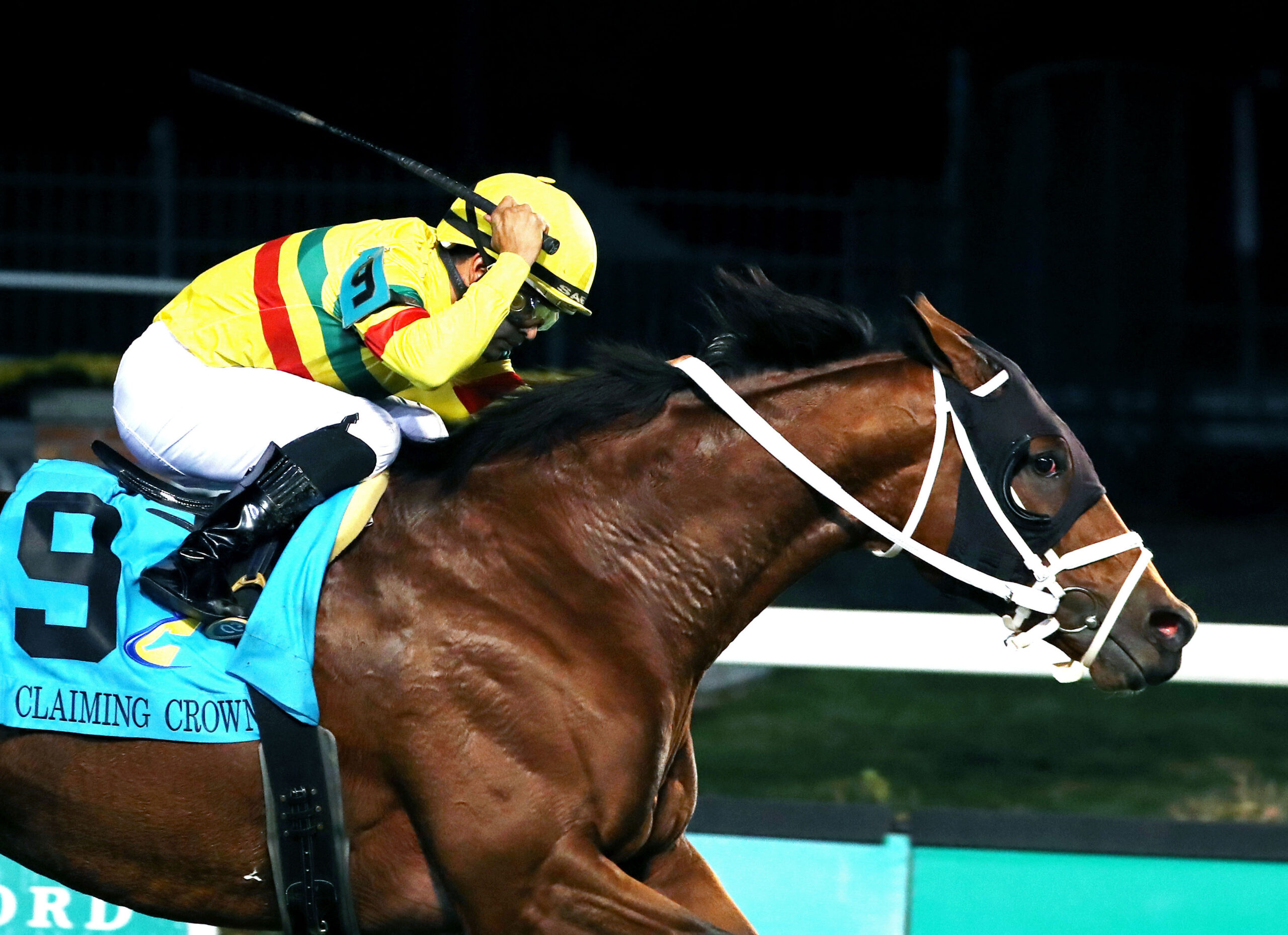 Closely cropped photo of Florida-bred Thoroughbred Echo Lane and jockey Luis Saez galloping to the wire at Churchill Downs during their win of the 2025 Claiming Crown Emerald. (Photo: ©Cady Coulardot/Coady Media)
