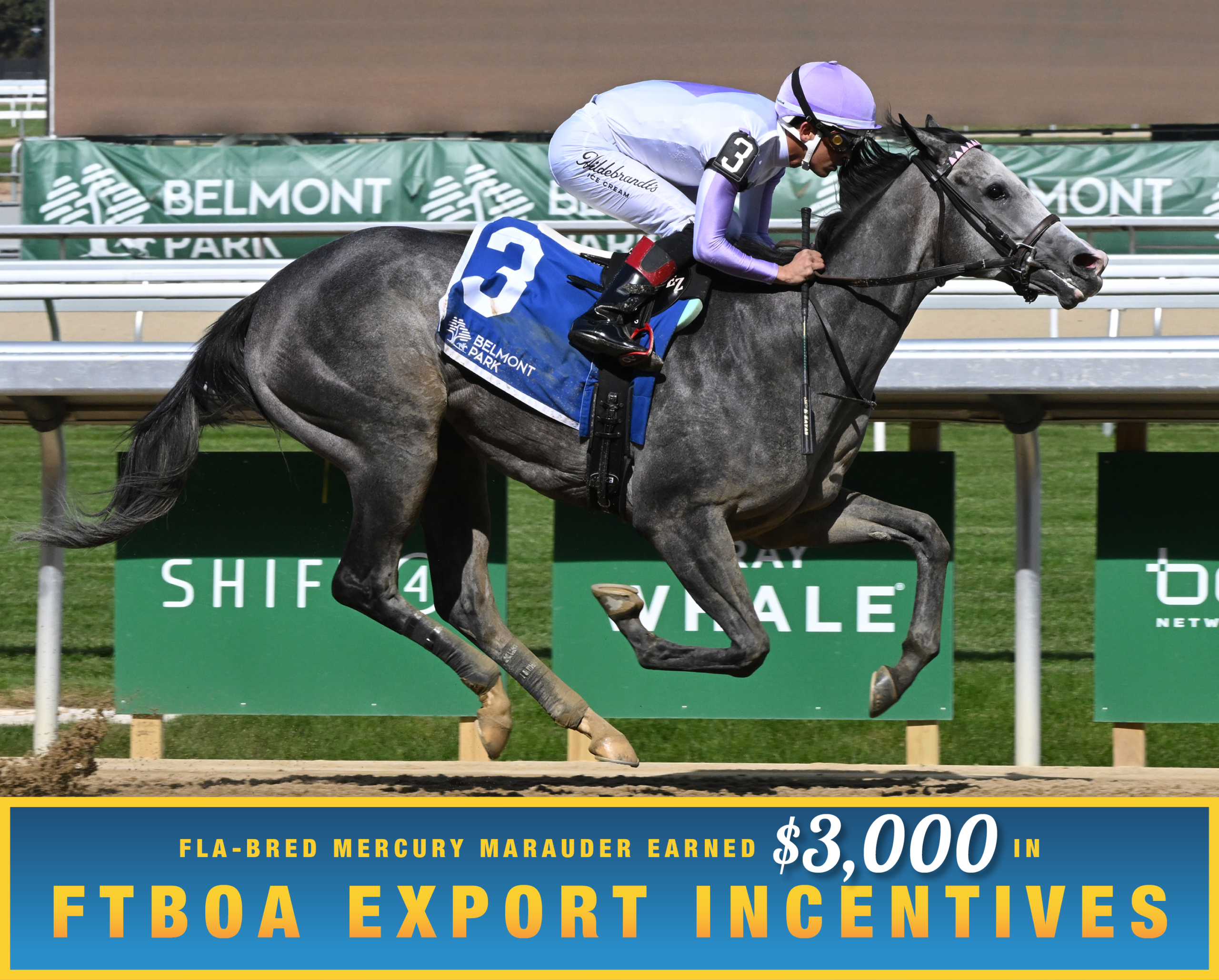 Florida-bred Thoroughbred Mercury Marauder and jockey Edgard Zayas gallop to the wire at Belmont Park to win a 2-year-old special weight maiden by 11 lengths. (Photo: ©Adam Coglianese) Beneath the photo, a gradient light blue to dark blue banner, edged in an orange to yellow frame, is featured. The banner reads, “Fla-bred Mercury Marauder Earned $3,000 in FTBOA Export Incentives.”
