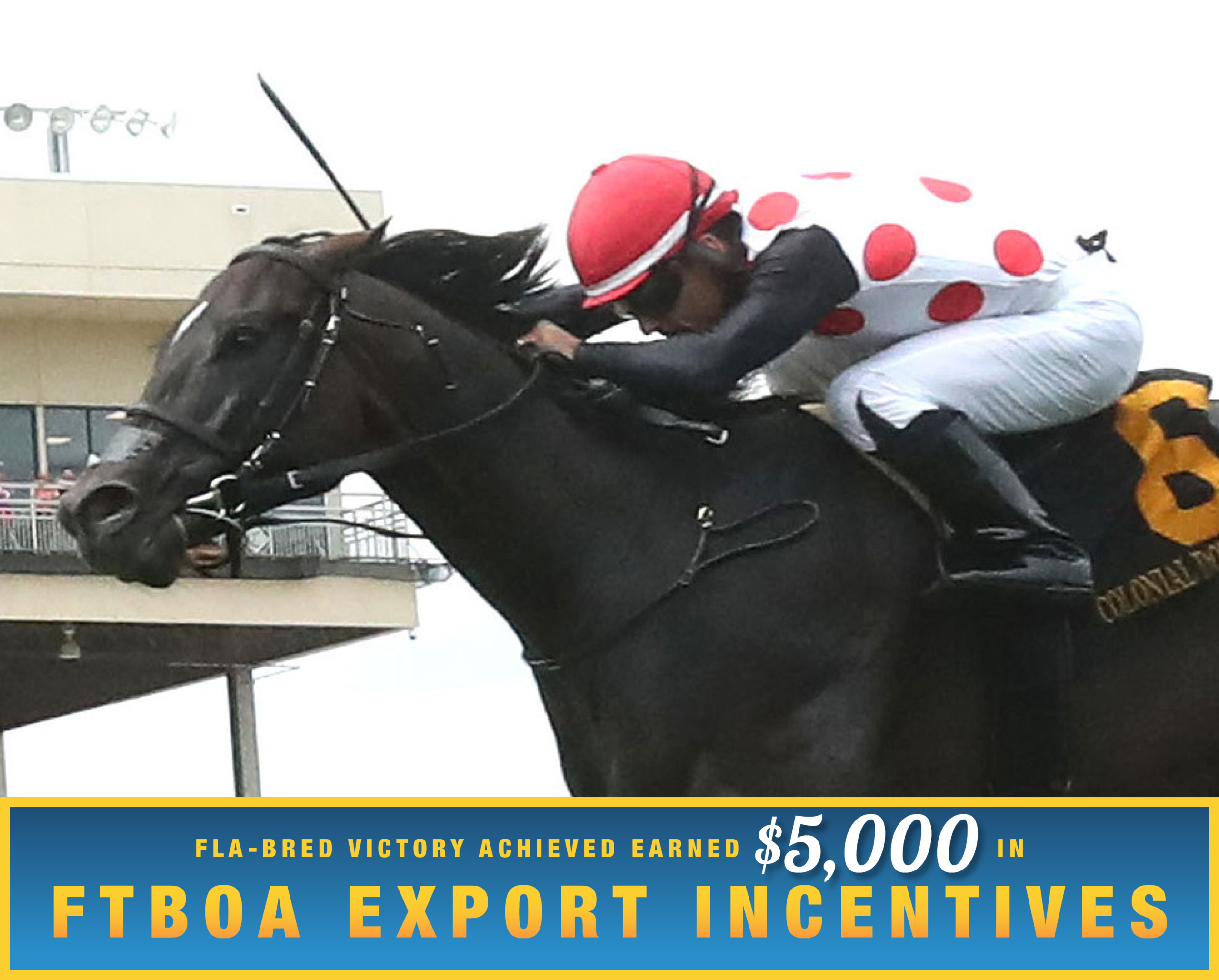 Closely cropped headshot of Florida-bred Thoroughbred Victory Achieved galloping at Colonial Downs. (Photo: ©Renee Torbit/Coady Media) Beneath the photo, a gradient light blue to dark blue banner, edged in an orange to yellow frame, is featured. The banner reads, “Fla-bred Victory Achieved Earned $5,000 in FTBOA Export Incentives.”