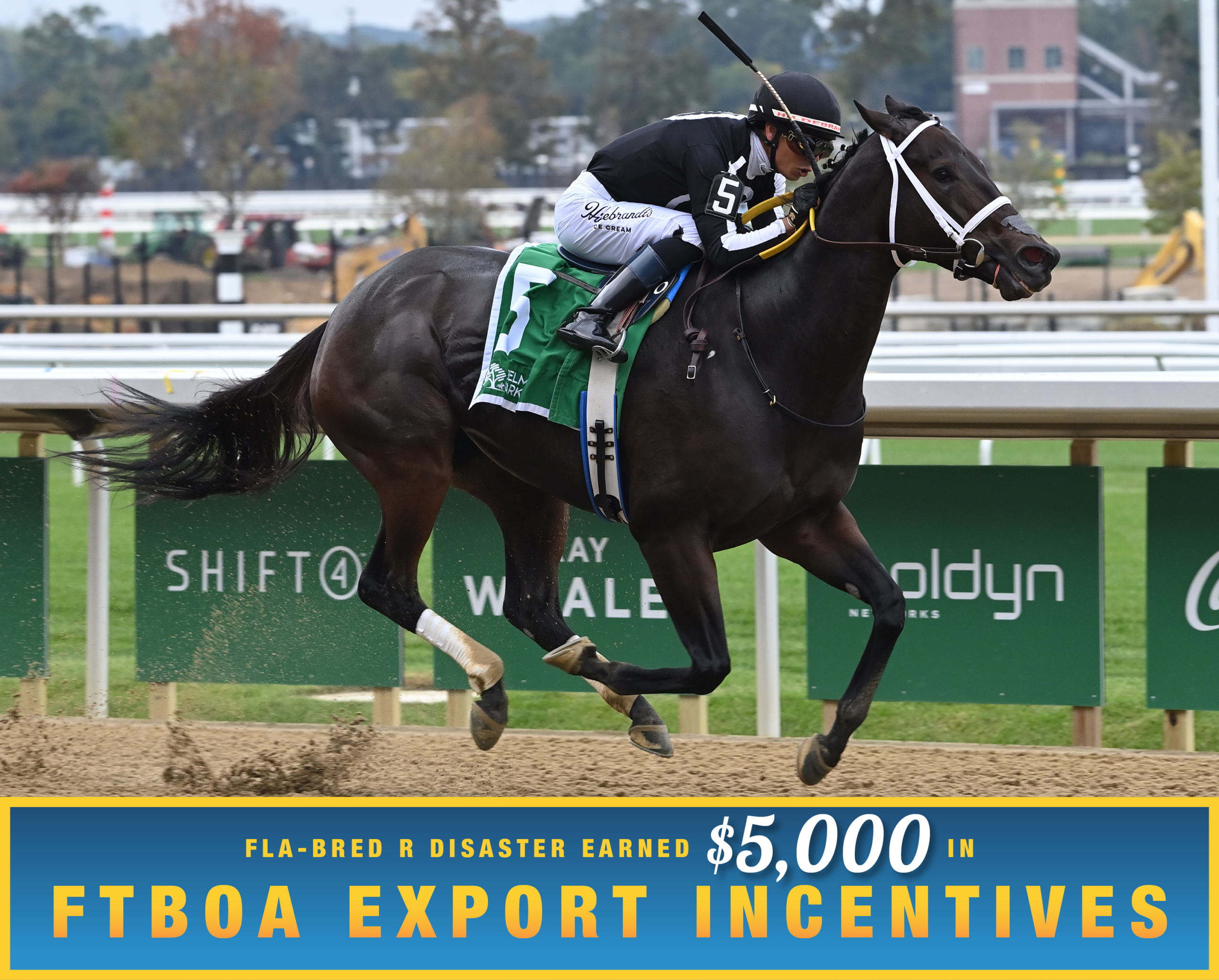 Florida-bred Thoroughbred R Disaster and jockey Jose Ortiz gallop to the wire at Belmont Park to win the 2026 Gallant Bloom. (Photo: ©Susie Raisher) Beneath the photo, a gradient light blue to dark blue banner, edged in an orange to yellow frame, is featured. The banner reads, “Fla-bred R Disaster Earned $5,000 in FTBOA Export Incentives.”