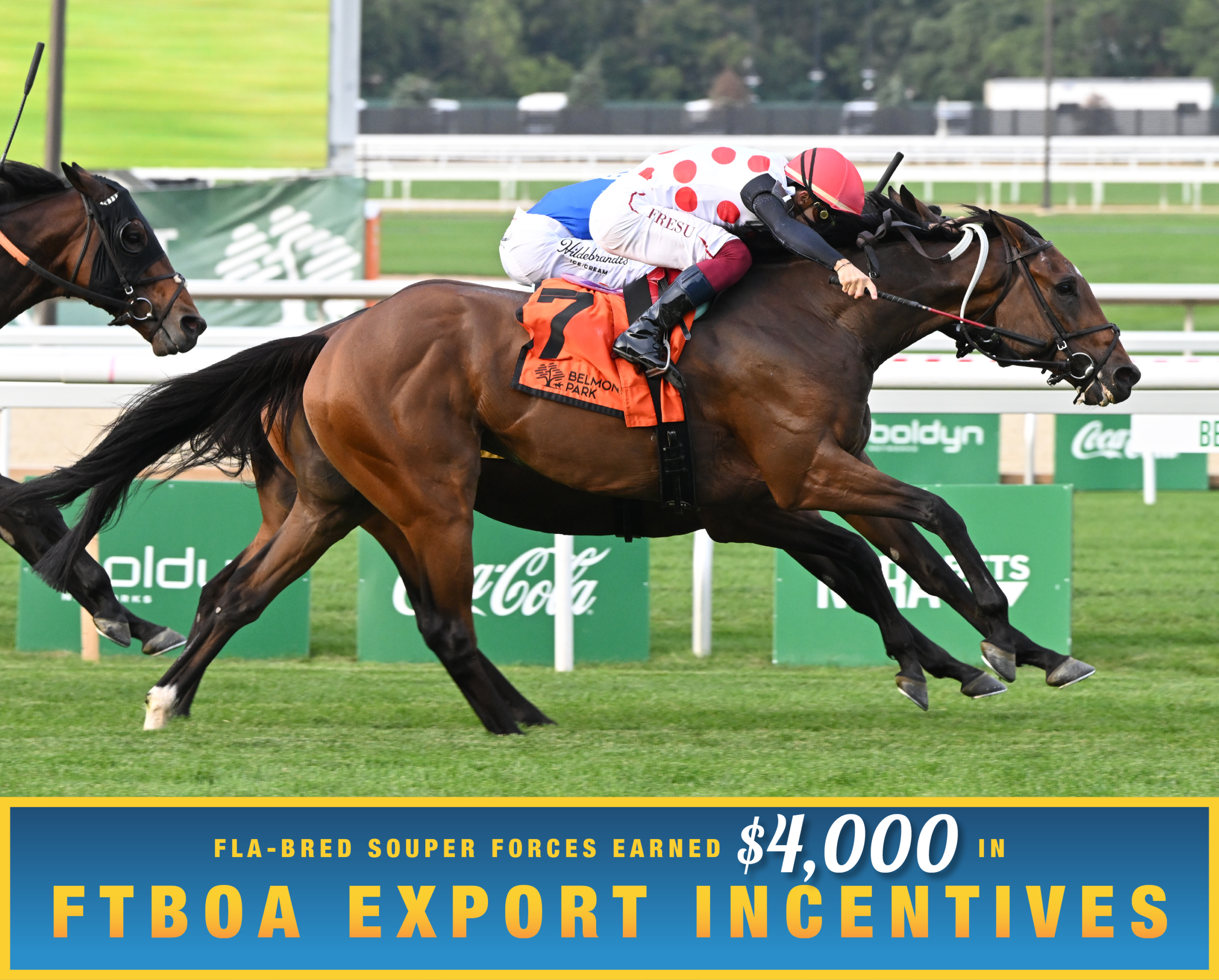 Florida-bred Souper Forces and jockey Antonio Fresu battle it out neck-and-neck at the wire with Intellect, winning the 2026 Artie Schiller at Belmont Park. (Photo: ©Susie Raisher) Beneath the photo, a gradient light blue to dark blue banner, edged in an orange to yellow frame, is featured. The banner reads, “Fla-bred Souper Forces Earned $4,000 in FTBOA Export Incentives.”