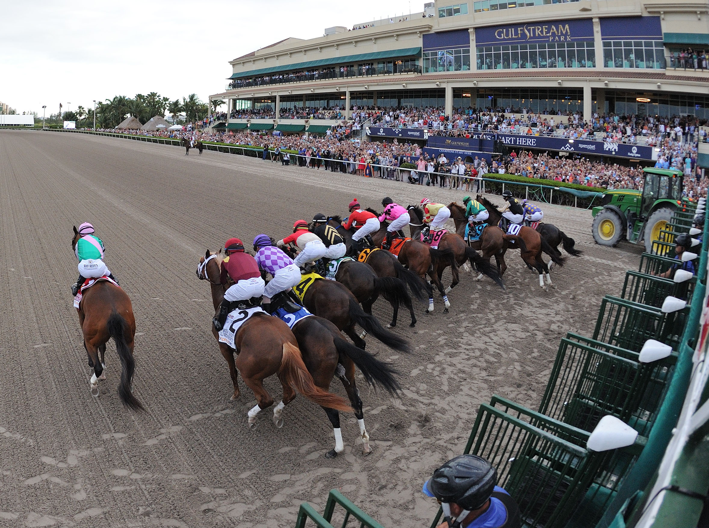 A field of horses gallop out of the starting gate at Gulfstream Park in front of the grandstand, galloping away from the camera. (Photo: ©Leslie Martin)