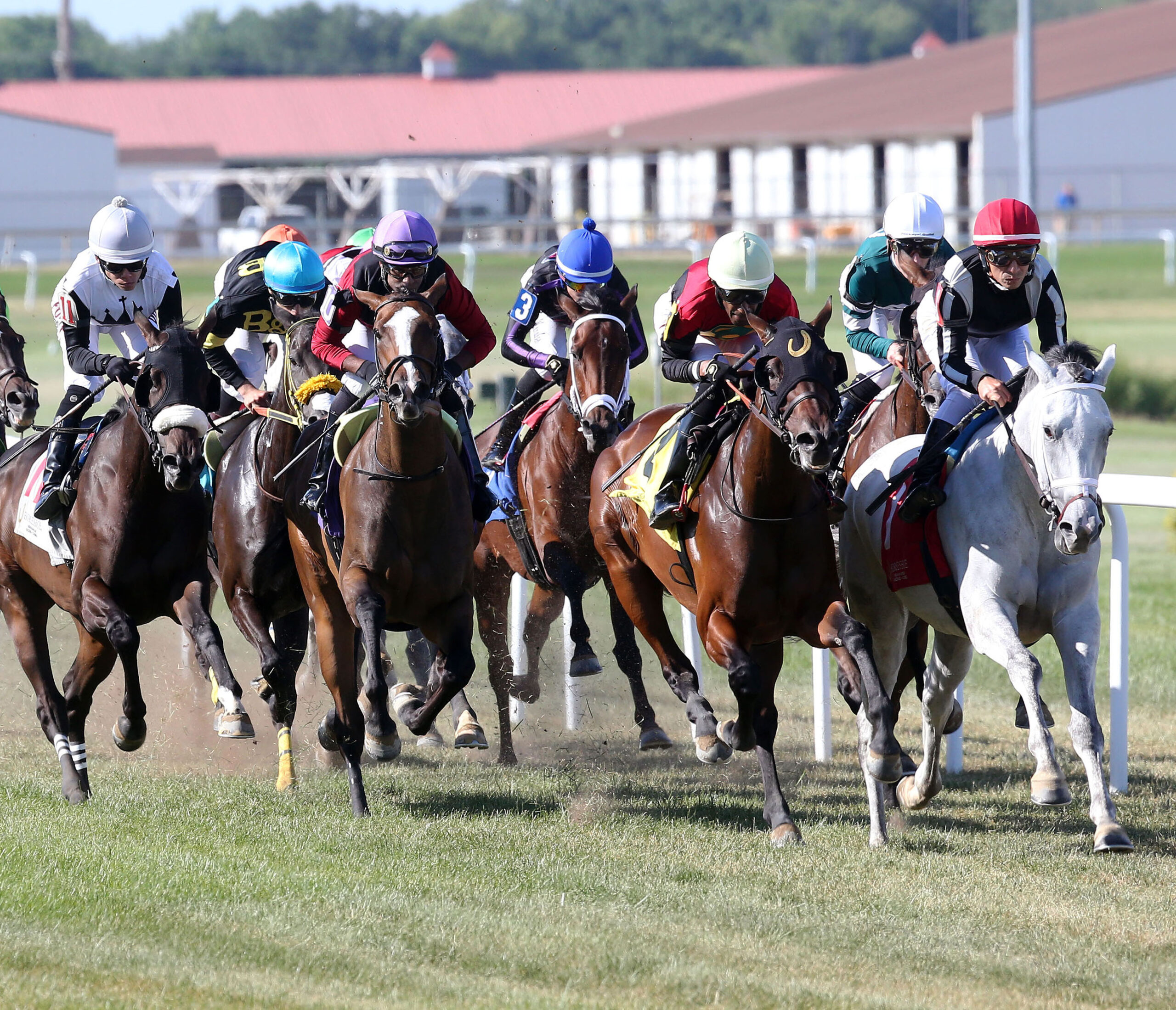 A group of Thoroughbreds and their jockeys round the bend of the turf course at Horseshoe Indianapolis, racing for the wire. (Photo: ©Coady Media)