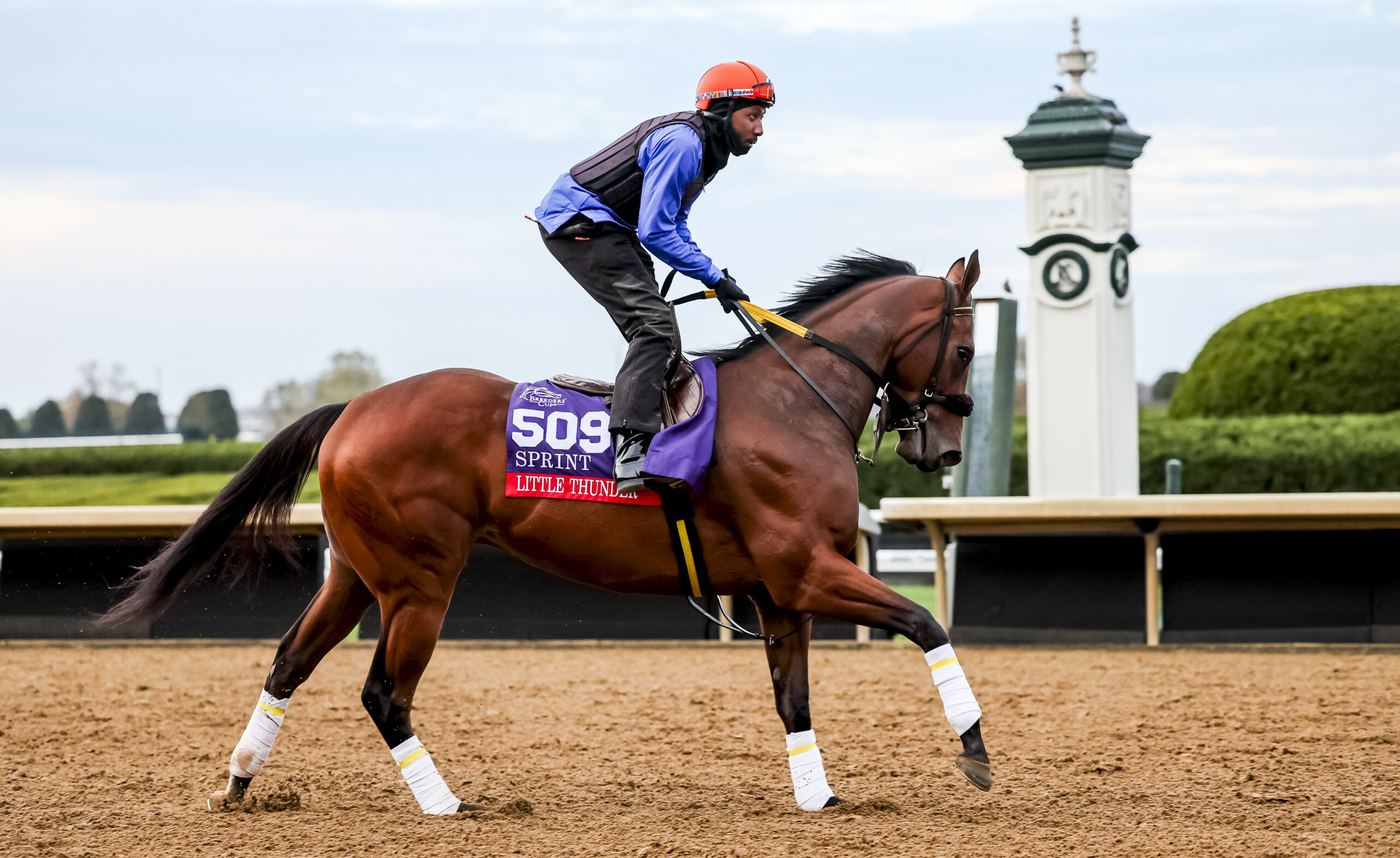 Bay Florida-bred Thoroughbred Little Thunder and his exercise rider canter along the track at Keeneland in preparation for the 2026 Breeders’ Cup Sprint. (Photo: ©Tim Sudduth/Eclipse Sportswire/Breeders' Cup)